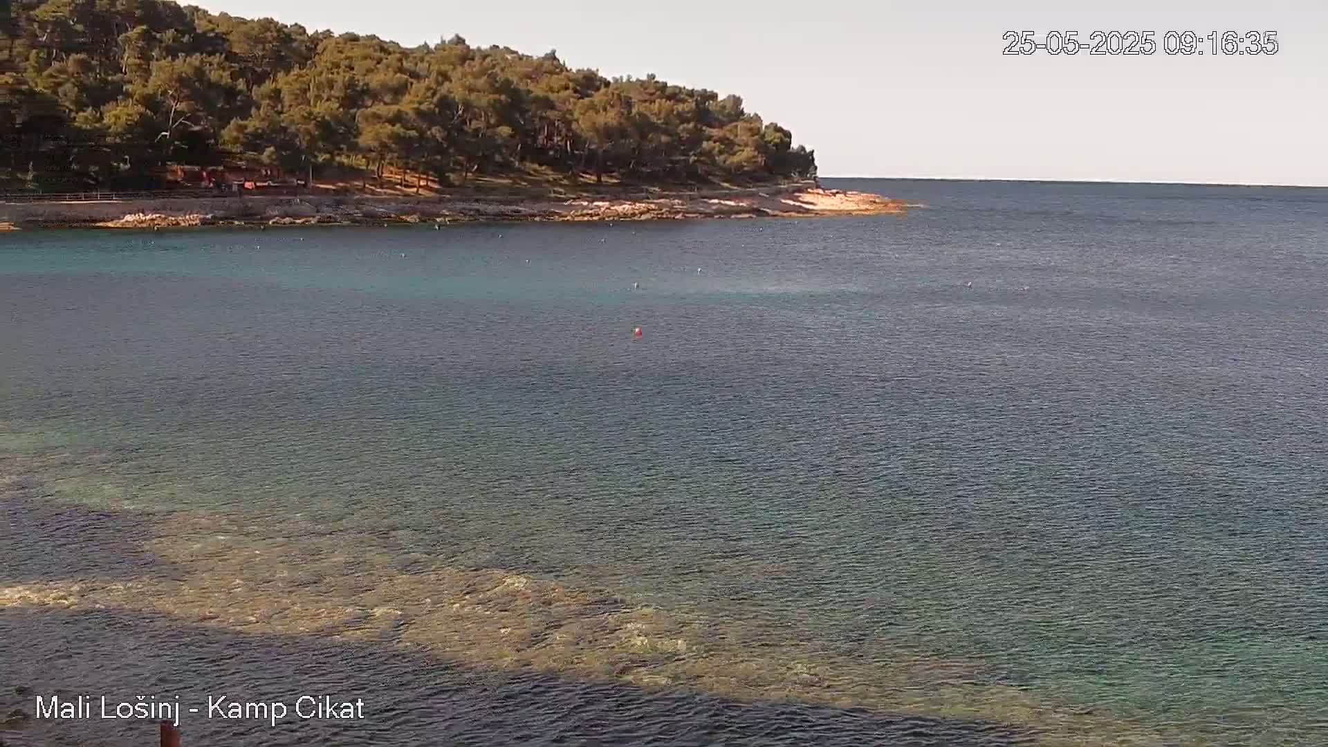 A clear, calm sea laps a rocky shoreline lined with a lush, green forest under a bright, sunny sky.