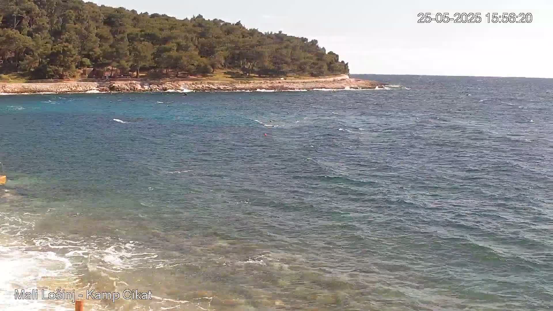 A rocky shoreline with green trees is visible behind a slightly wavy sea on a sunny day.