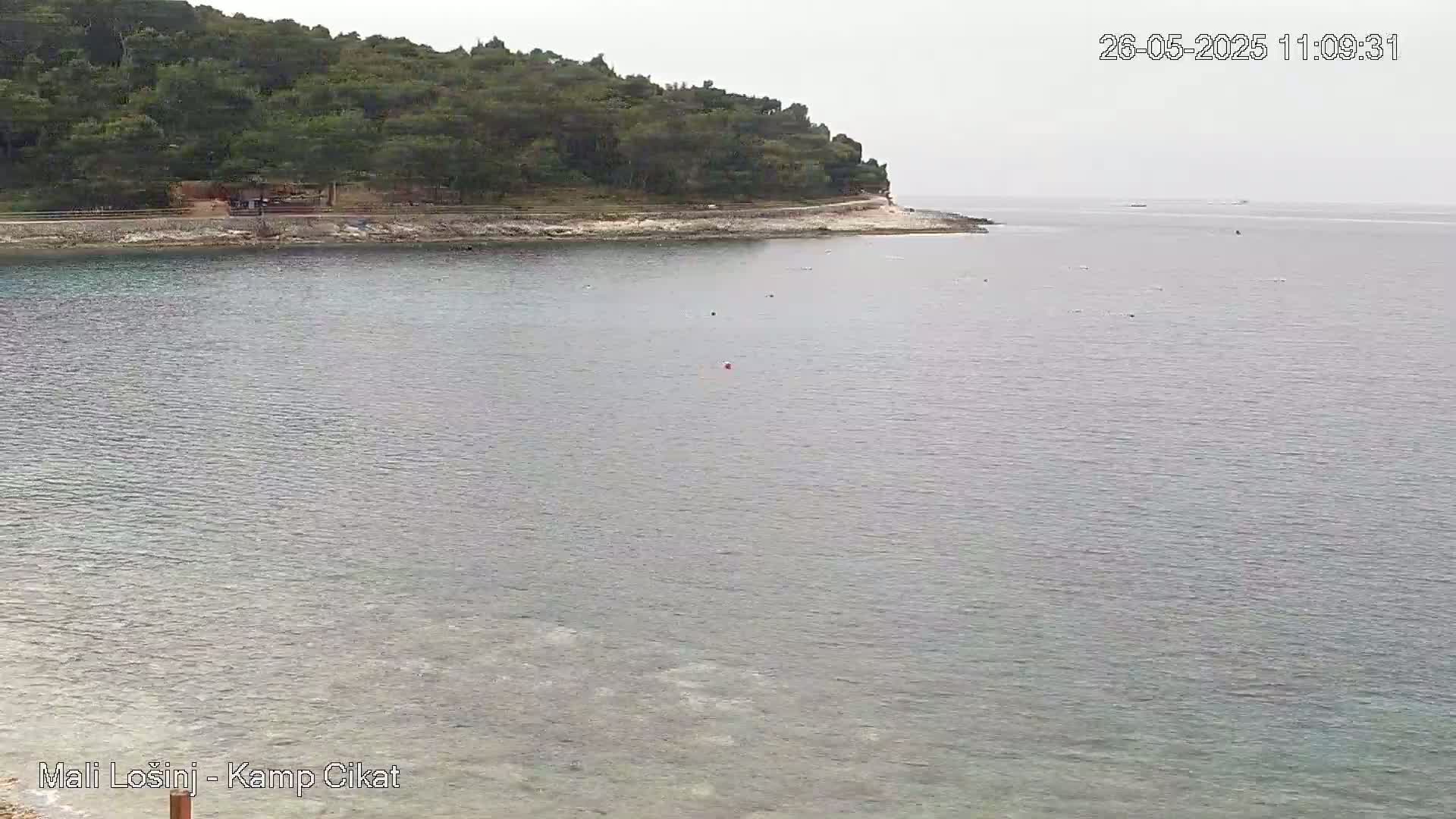 A calm, gray-toned body of water stretches out from a shoreline lined with lush green trees under an overcast sky.