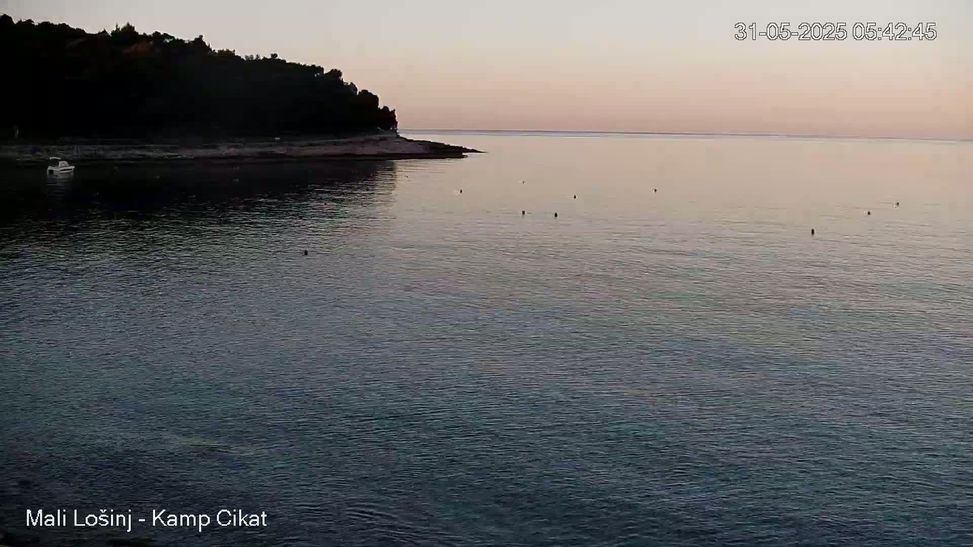 A calm body of water at dawn, with a small boat near a dark, tree-covered shoreline.