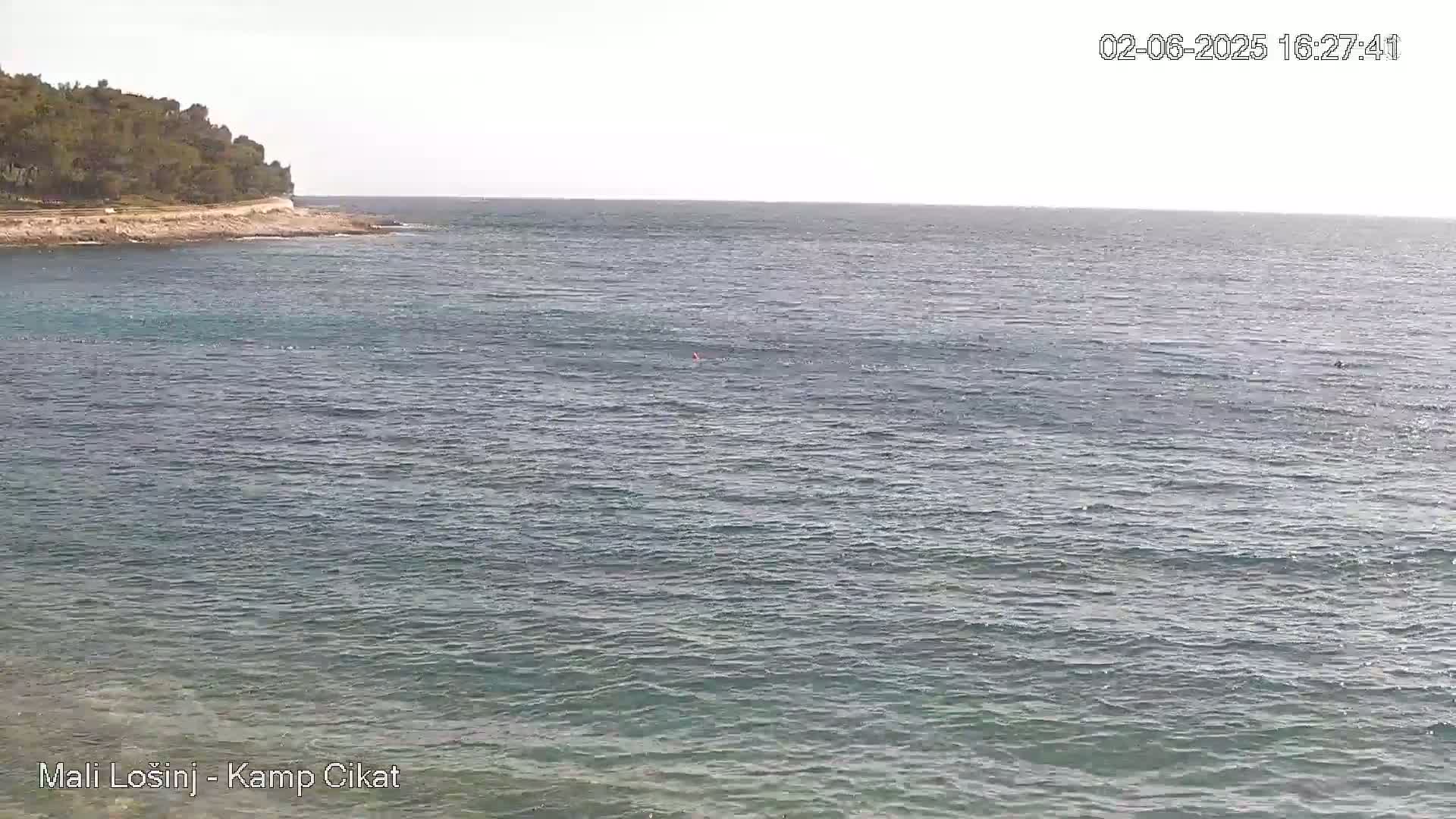 A calm sea meets a rocky shoreline lined with green trees under a bright, mostly clear sky.