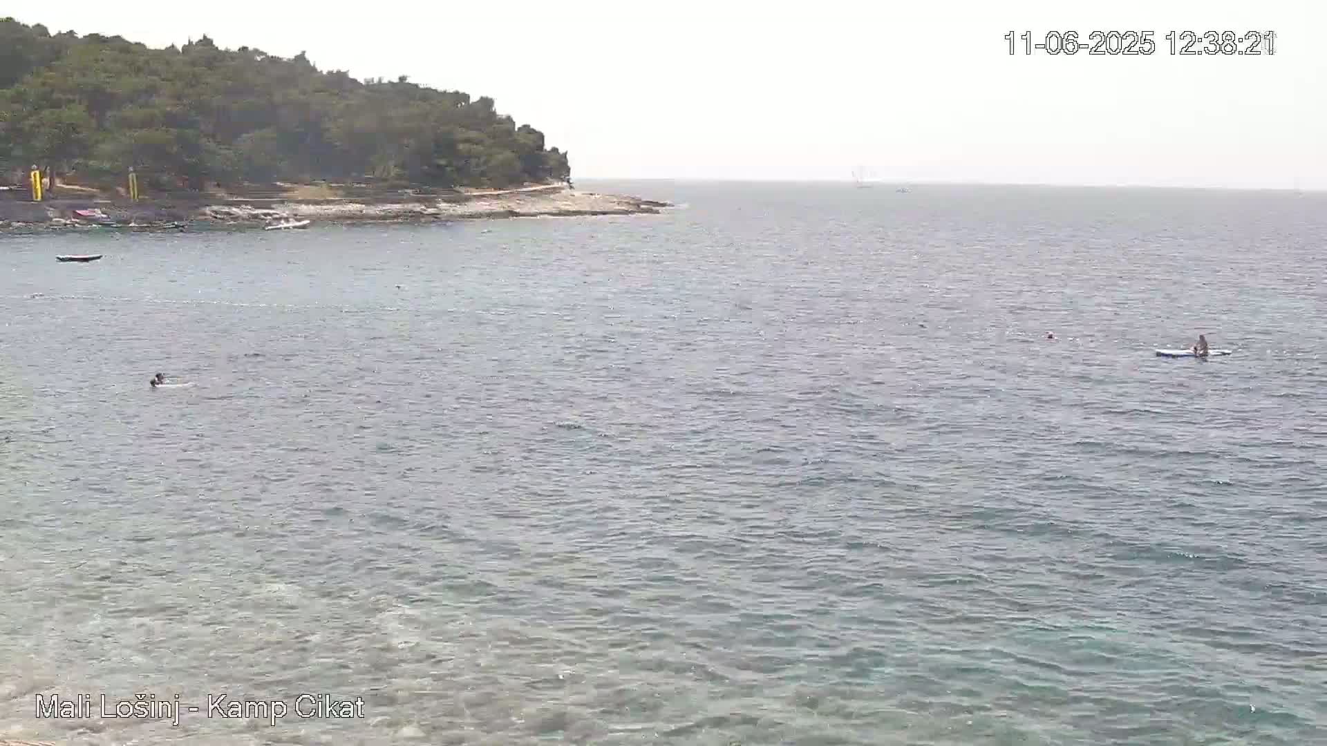 A calm, overcast day shows a person paddleboarding in a bay next to a rocky shoreline with green vegetation.