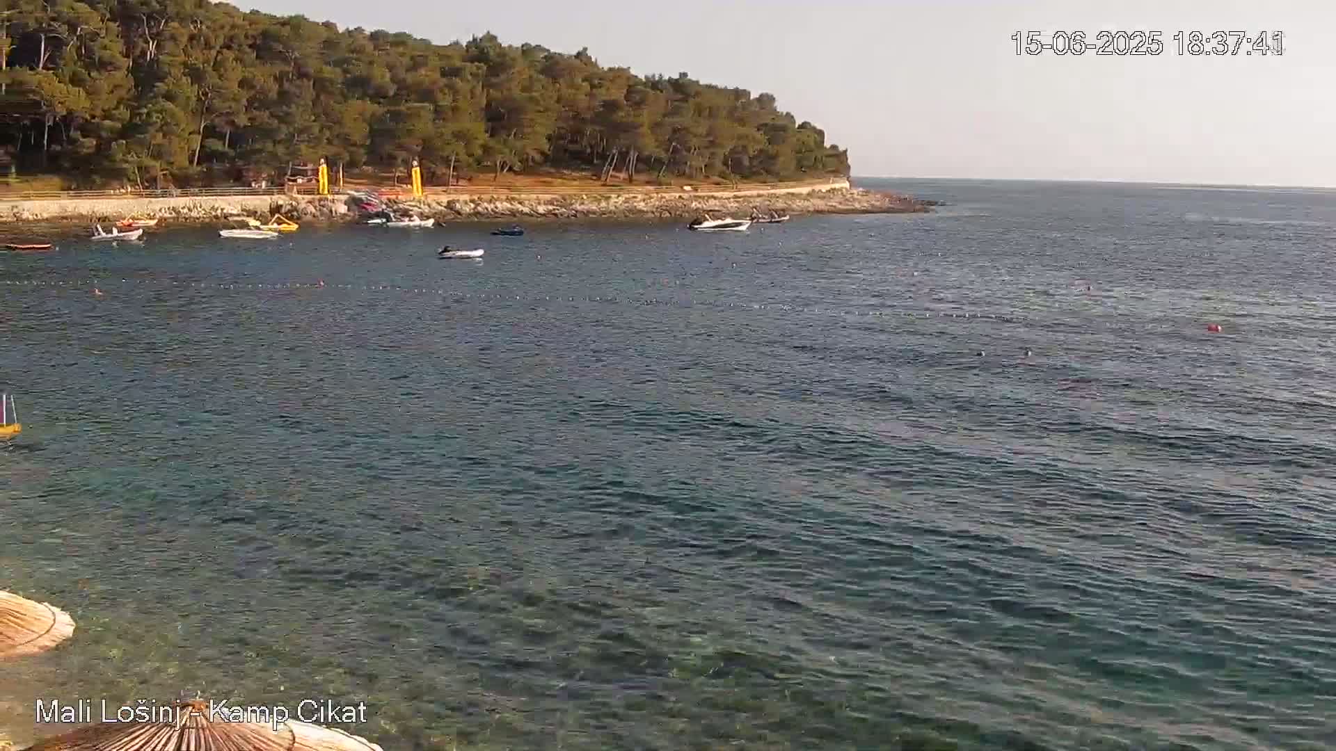 A calm sea with several small boats near a shoreline lined with green trees under a clear sky.