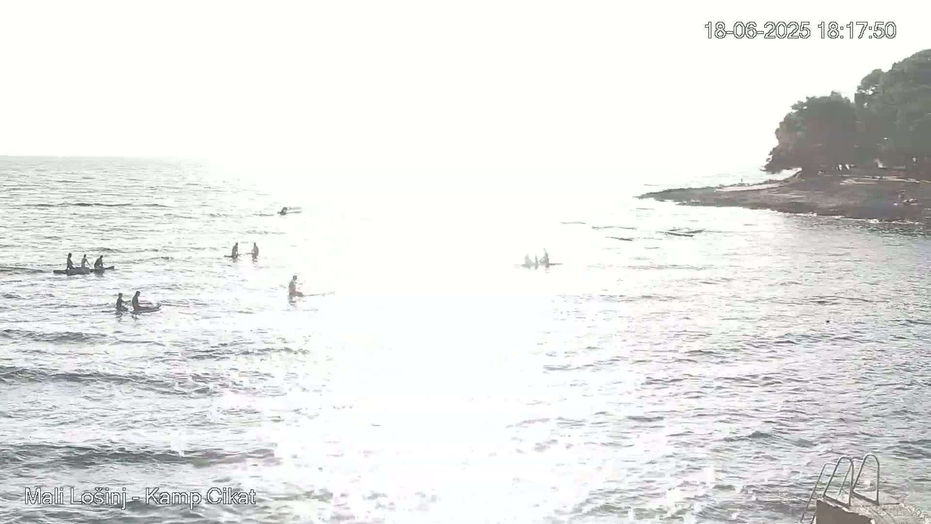 Several people are paddleboarding in a calm, overcast ocean near a rocky shoreline with trees.