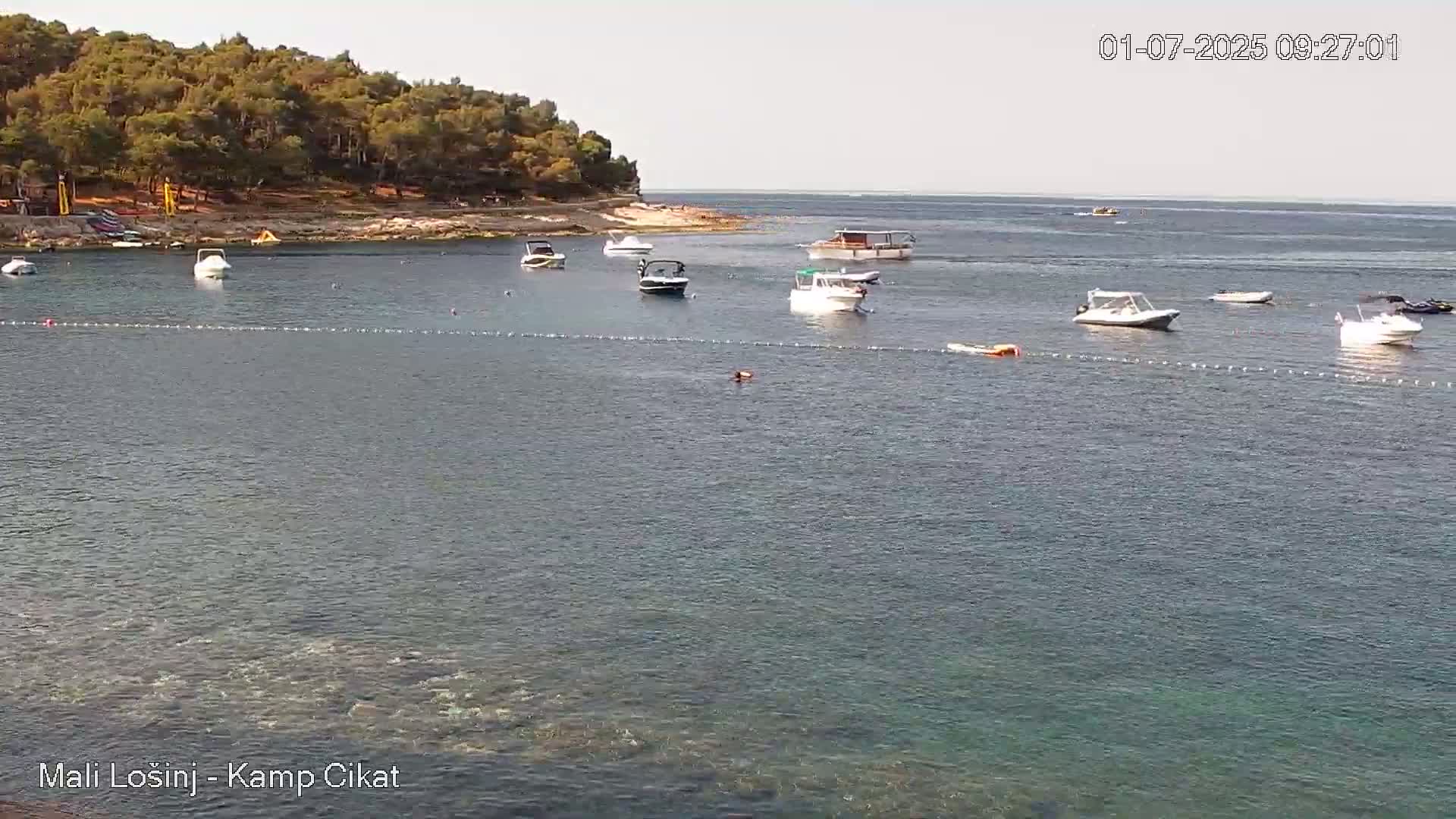 Several motorboats are moored in a calm, clear bay next to a wooded shoreline on a sunny day.