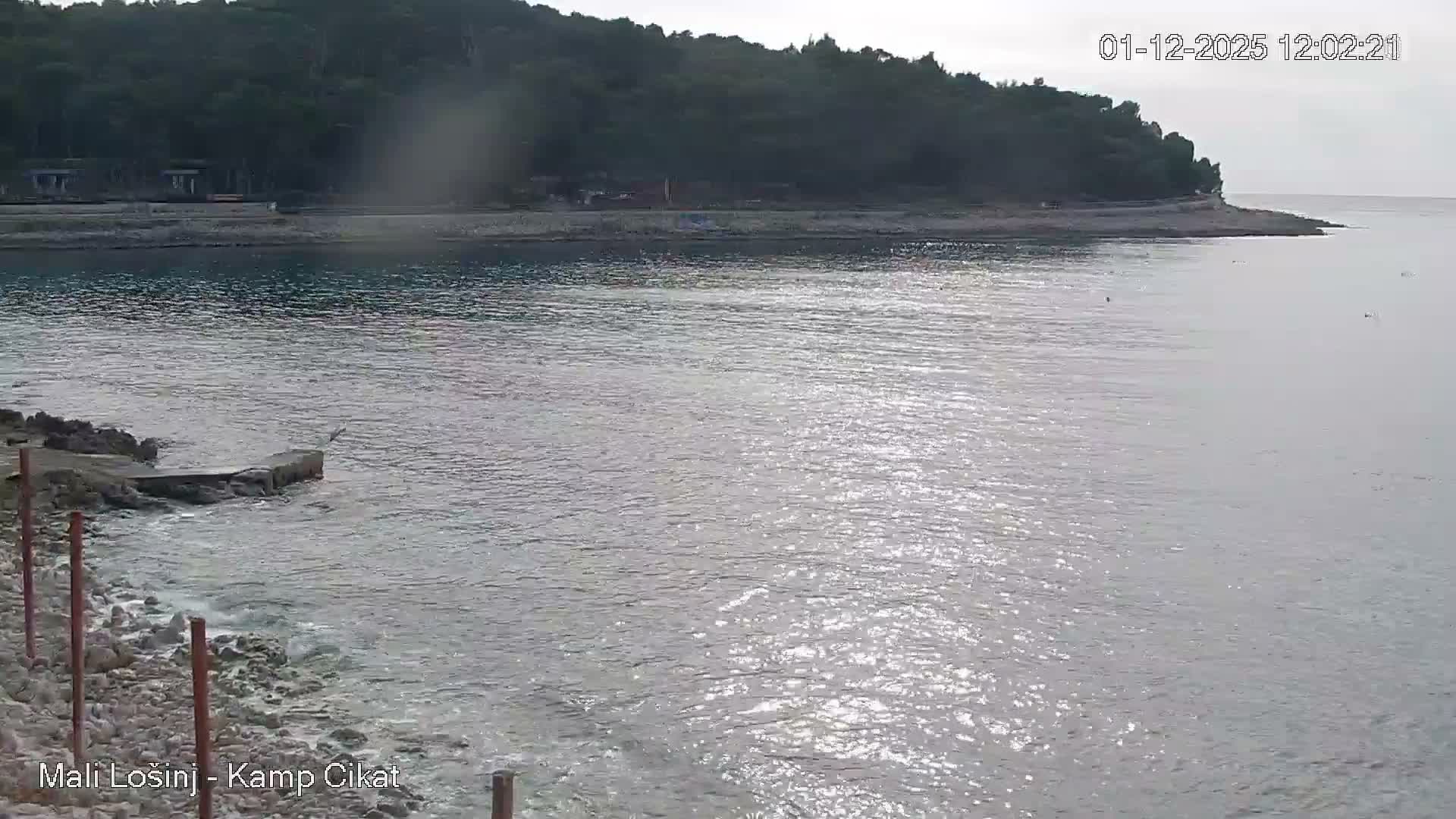 Otok Losinj Island, Camp Čikat Camping Live Cam - Cikat,  Mali Lošinj,  Primorje-Gorski Kotar, Croatia