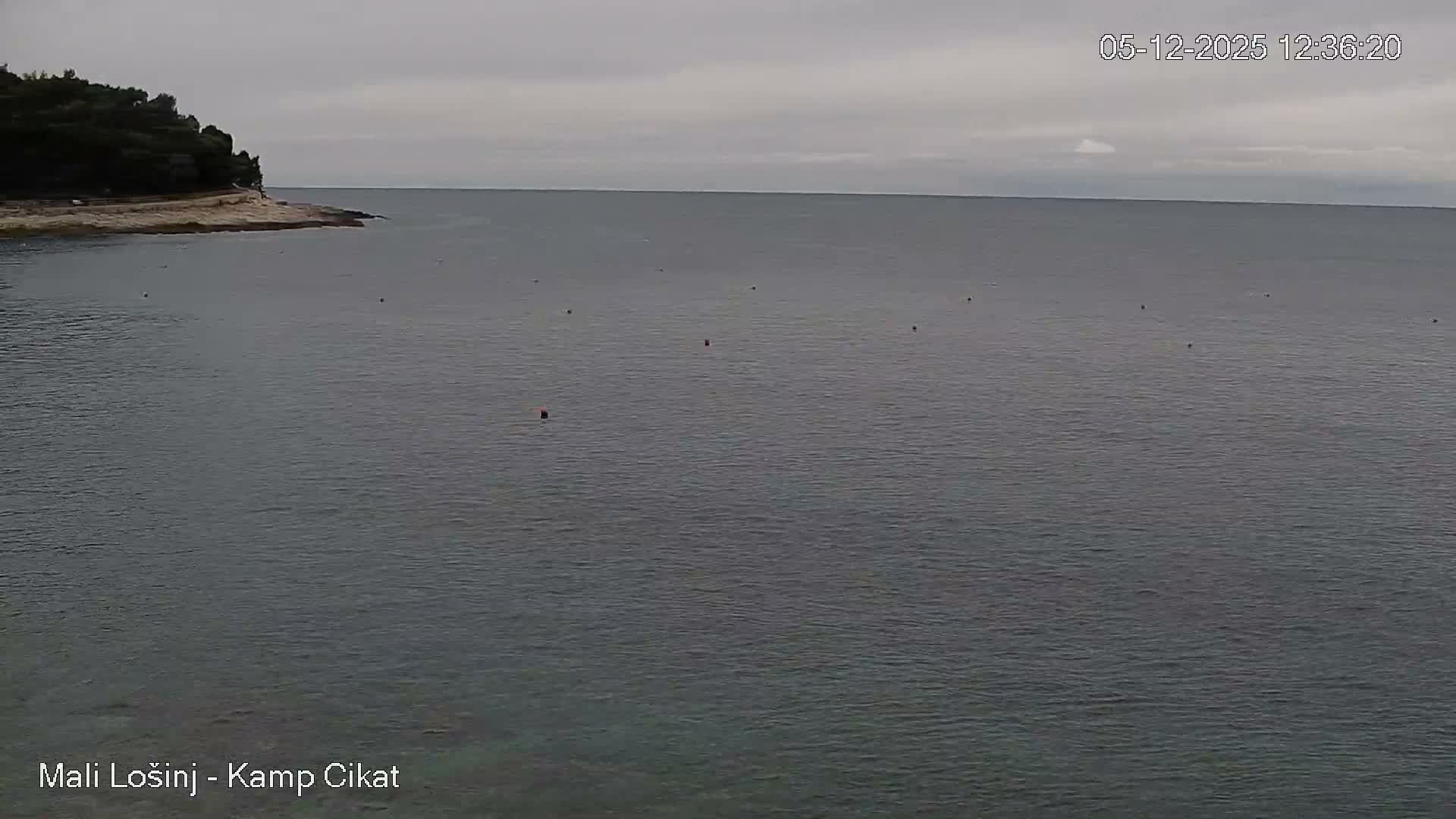 Otok Losinj Island, Camp Čikat Camping Live Cam - Cikat,  Mali Lošinj,  Primorje-Gorski Kotar, Croatia