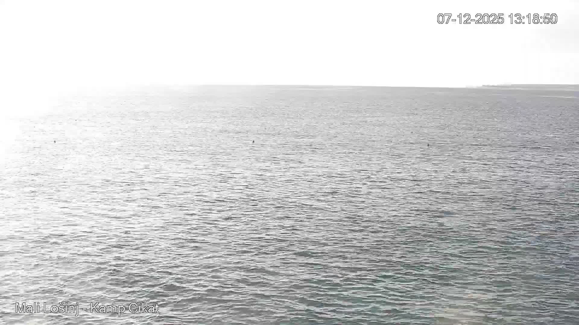 Otok Losinj Island, Camp Čikat Camping Live Cam - Cikat,  Mali Lošinj,  Primorje-Gorski Kotar, Croatia