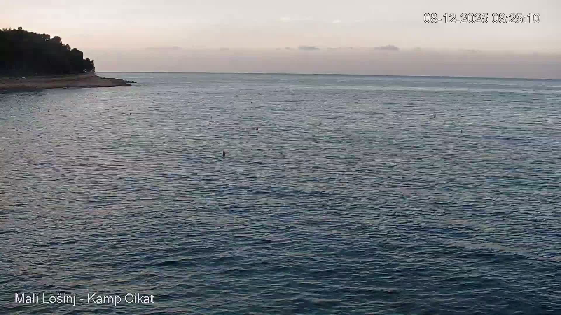 Otok Losinj Island, Camp Čikat Camping Live Cam - Cikat,  Mali Lošinj,  Primorje-Gorski Kotar, Croatia