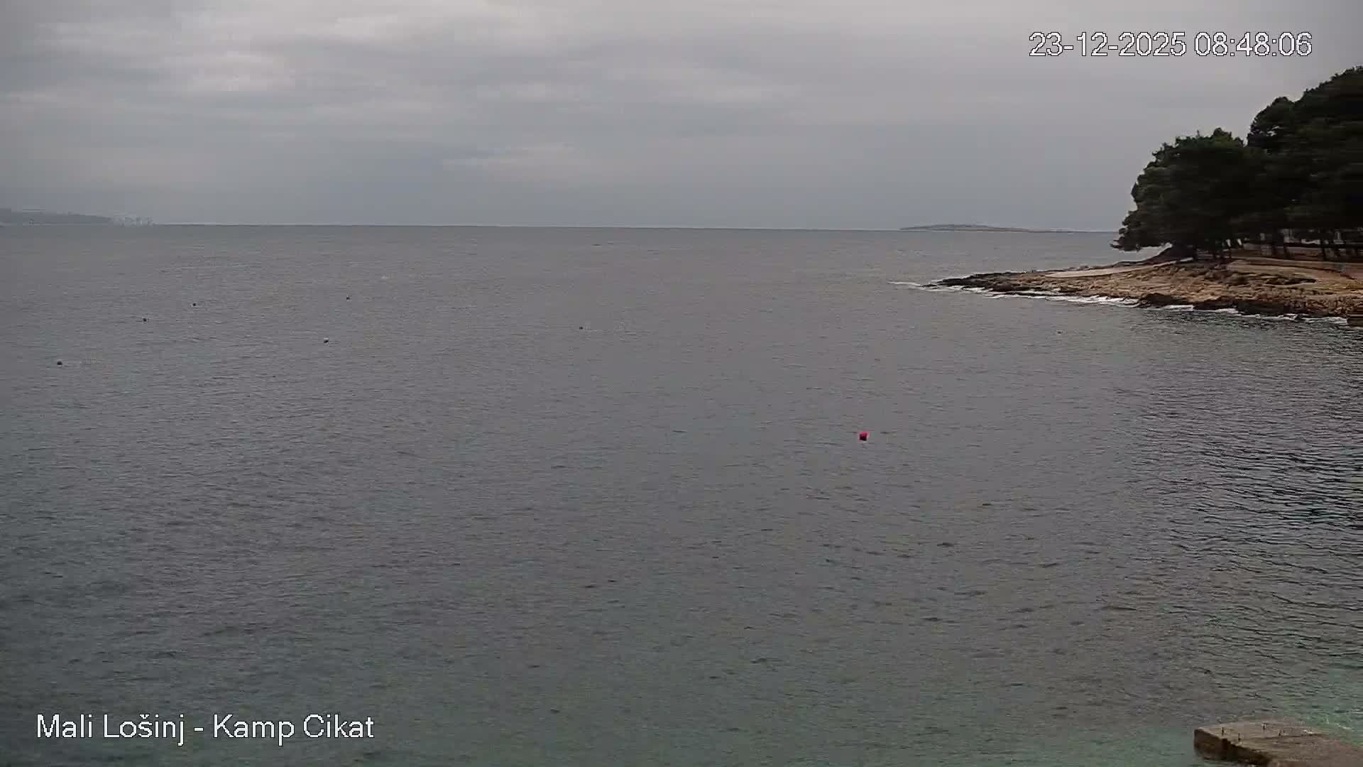 Otok Losinj Island, Camp Čikat Camping Live Cam - Cikat,  Mali Lošinj,  Primorje-Gorski Kotar, Croatia