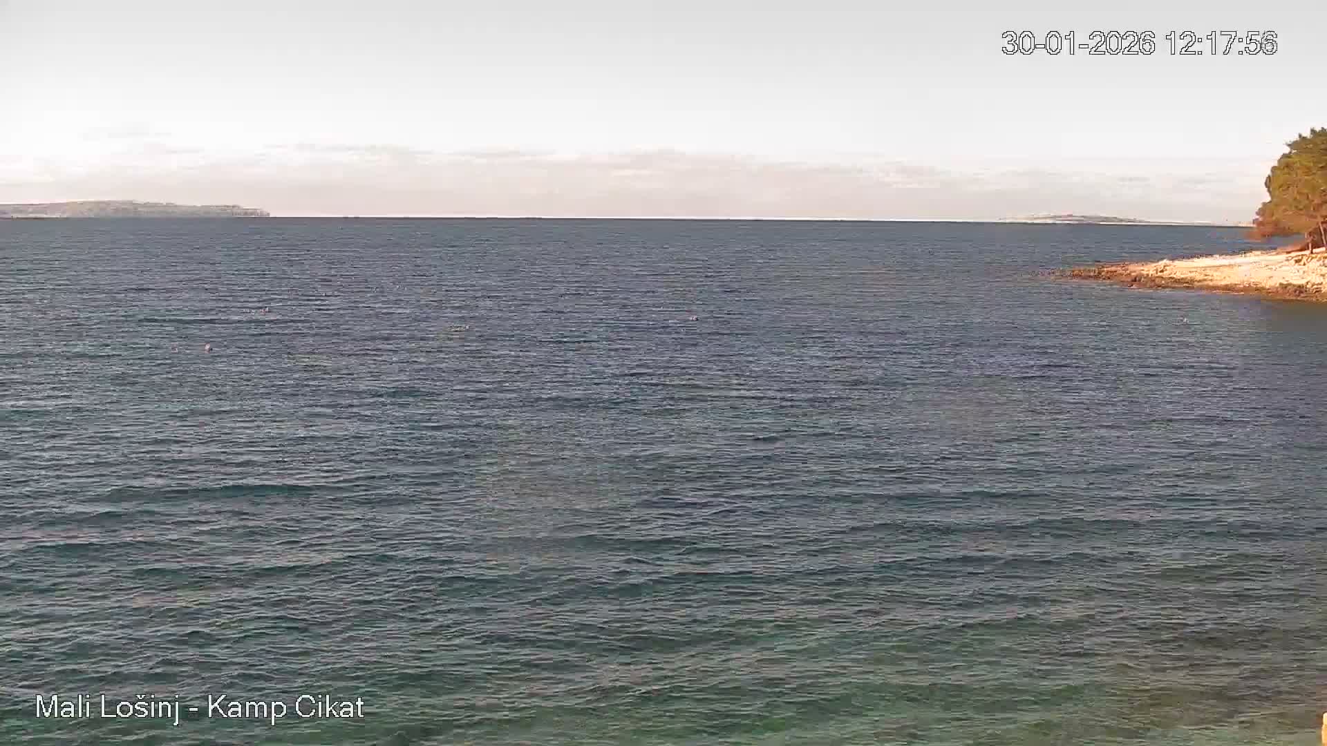 Otok Losinj Island, Camp Čikat Camping Live Cam - Cikat,  Mali Lošinj,  Primorje-Gorski Kotar, Croatia