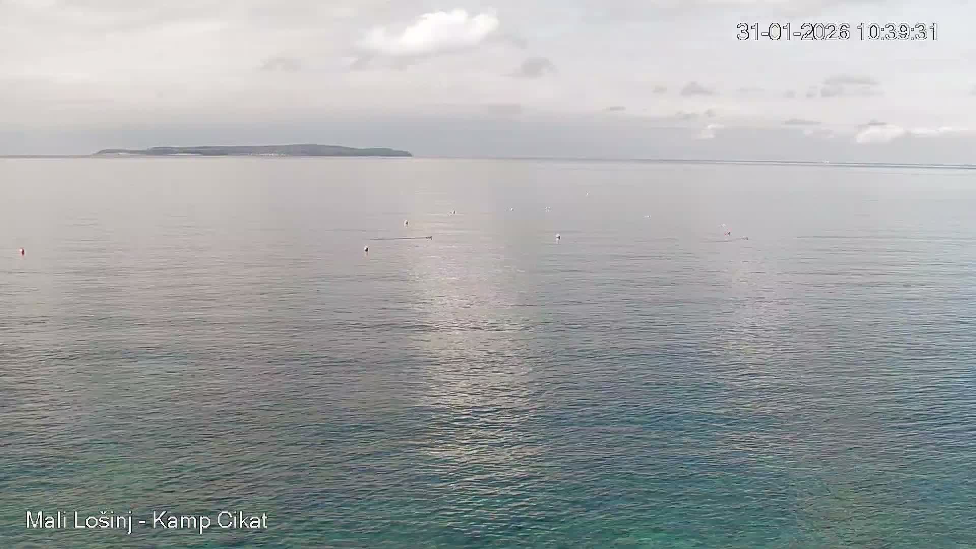 Otok Losinj Island, Camp Čikat Camping Live Cam - Cikat,  Mali Lošinj,  Primorje-Gorski Kotar, Croatia