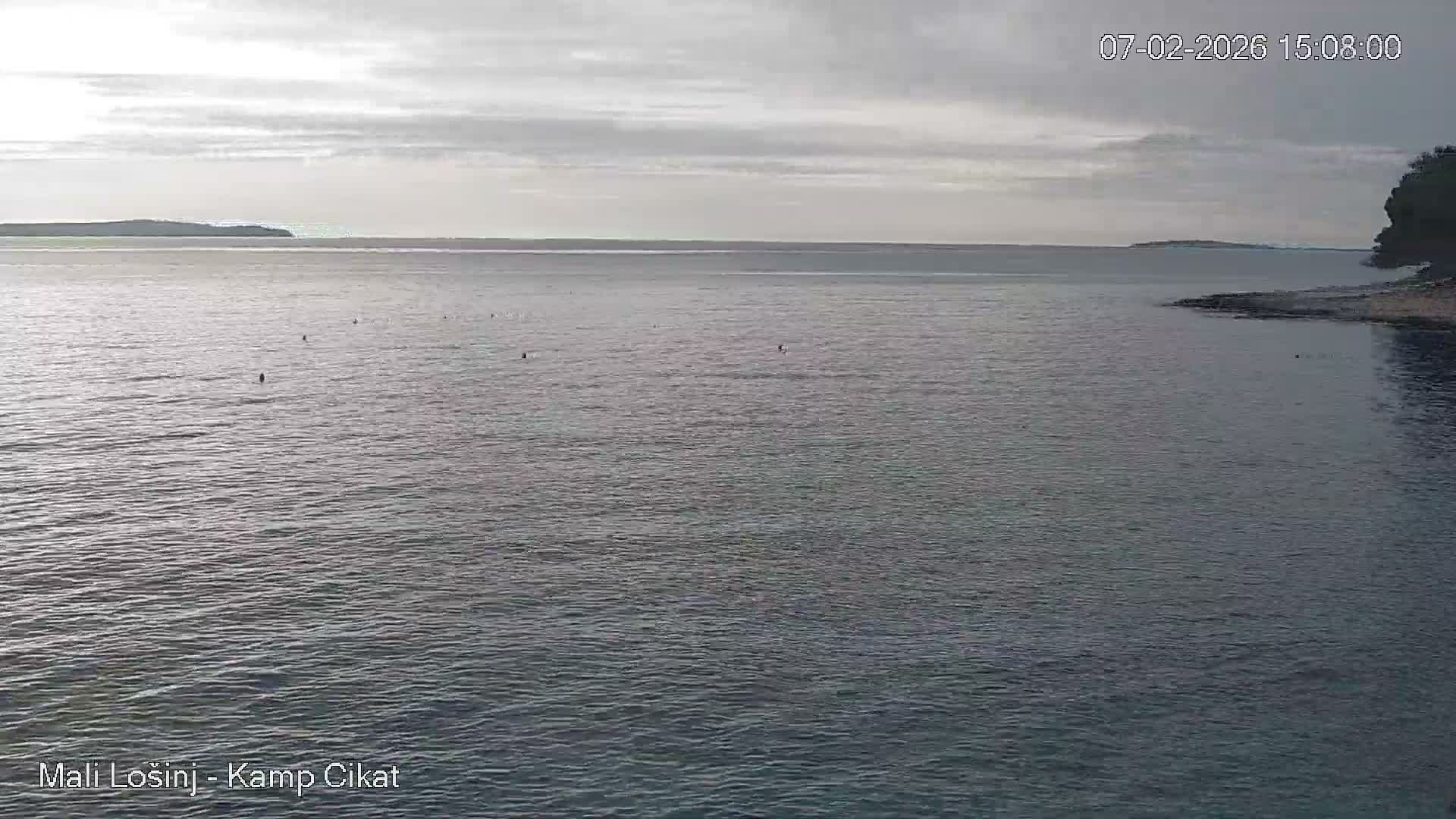 Otok Losinj Island, Camp Čikat Camping Live Cam - Cikat,  Mali Lošinj,  Primorje-Gorski Kotar, Croatia