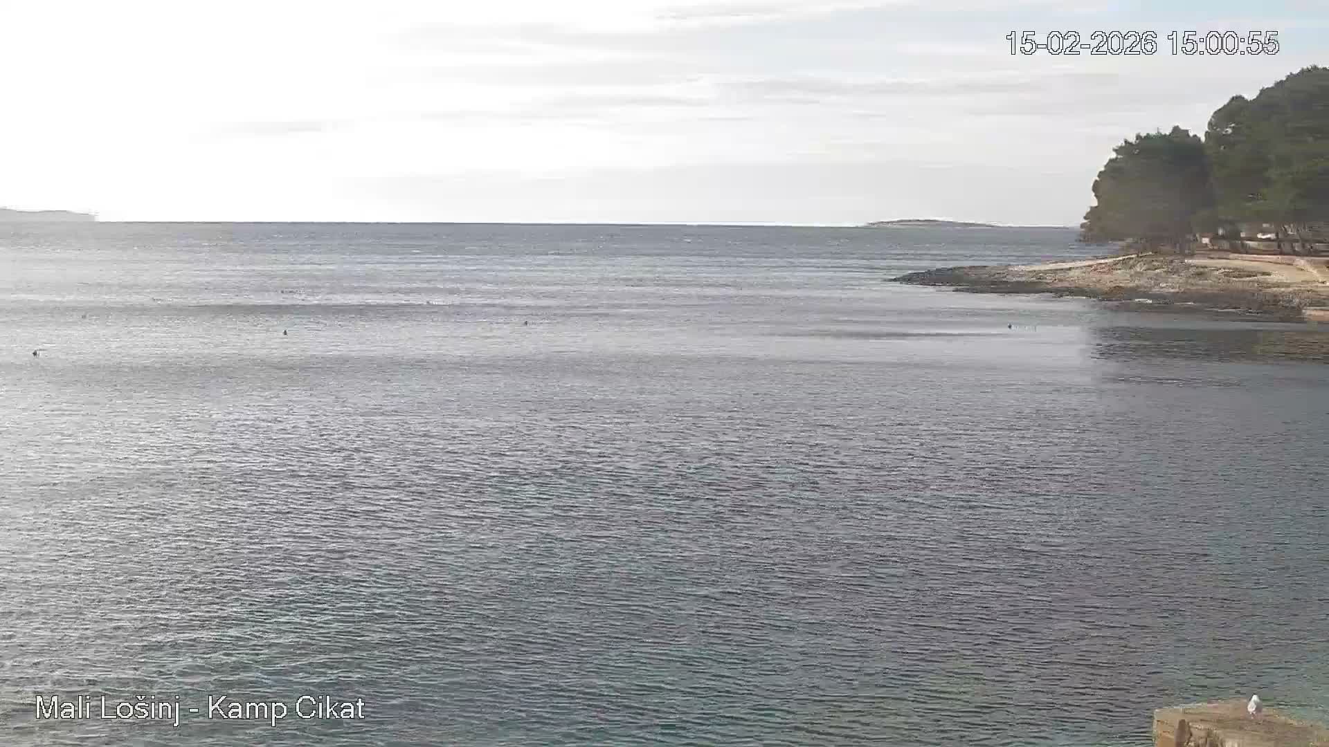 Otok Losinj Island, Camp Čikat Camping Live Cam - Cikat,  Mali Lošinj,  Primorje-Gorski Kotar, Croatia