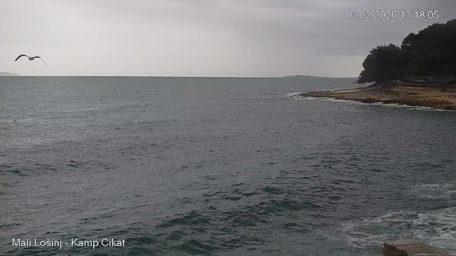 Otok Losinj Island, Camp Čikat Camping Live Cam - Cikat,  Mali Lošinj,  Primorje-Gorski Kotar, Croatia