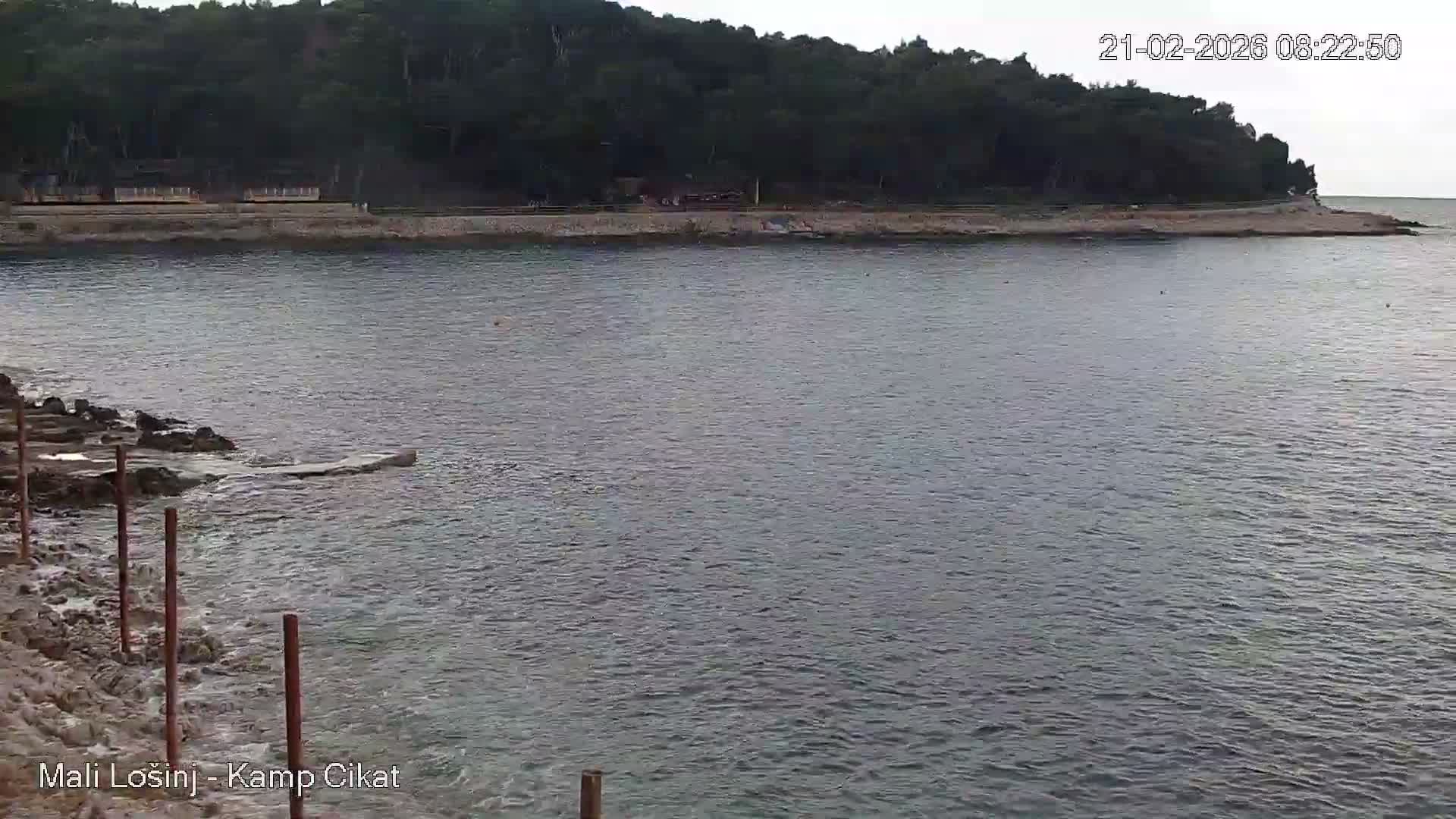 Otok Losinj Island, Camp Čikat Camping Live Cam - Cikat,  Mali Lošinj,  Primorje-Gorski Kotar, Croatia
