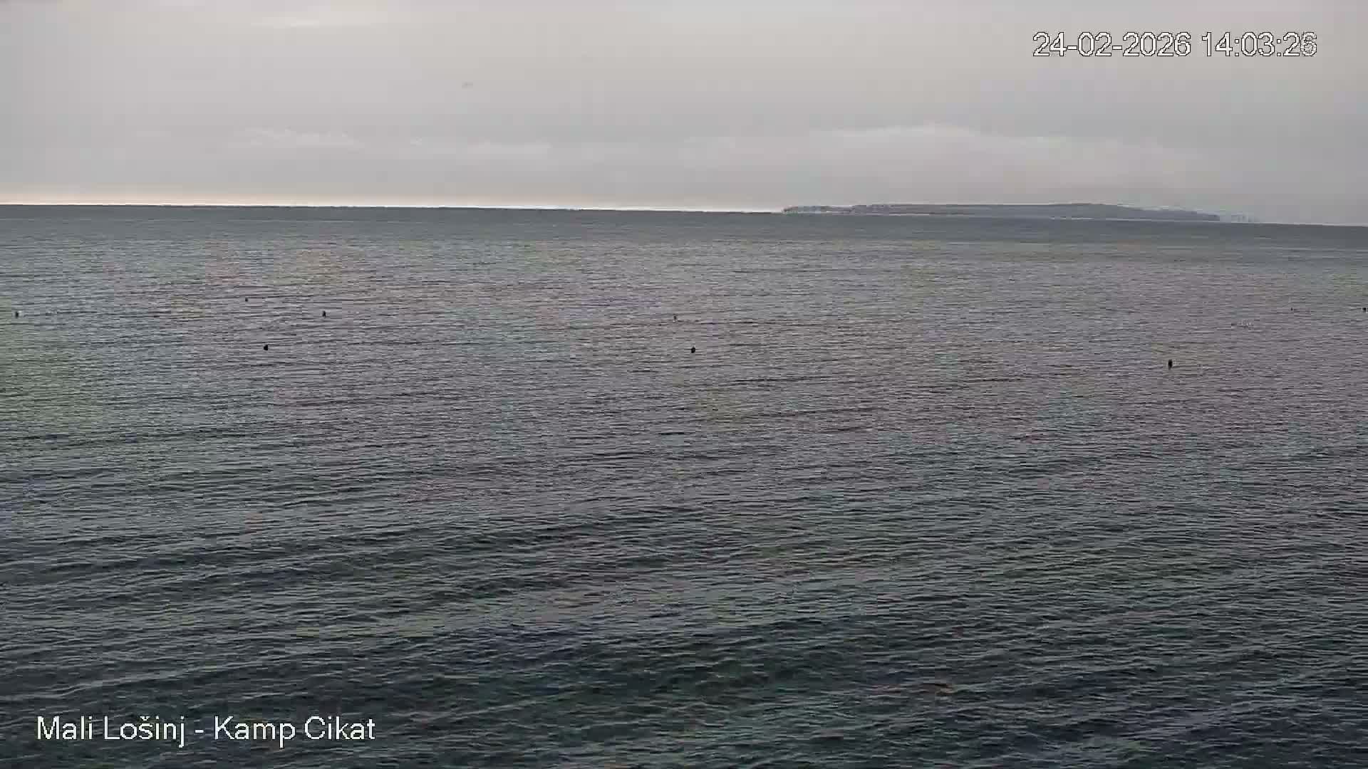 Otok Losinj Island, Camp Čikat Camping Live Cam - Cikat,  Mali Lošinj,  Primorje-Gorski Kotar, Croatia