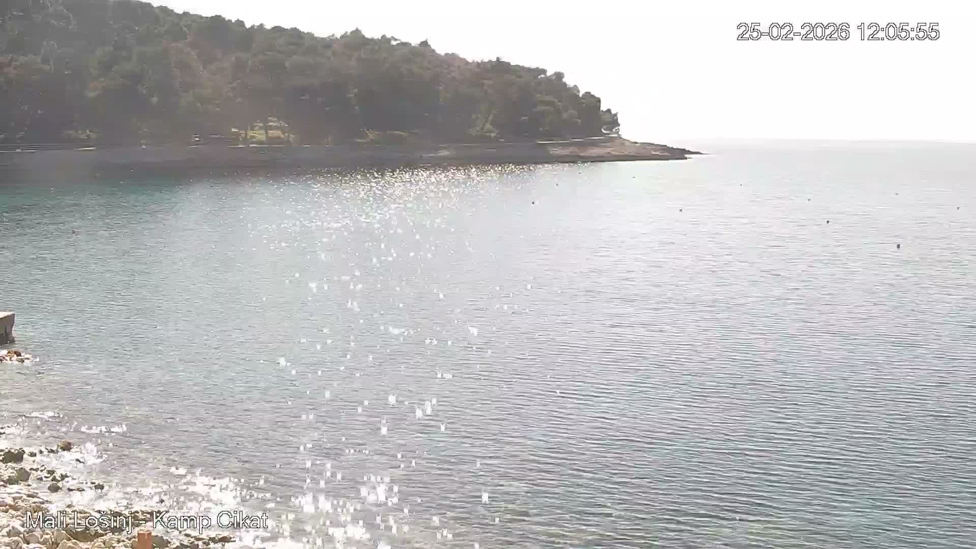 Otok Losinj Island, Camp Čikat Camping Live Cam - Cikat,  Mali Lošinj,  Primorje-Gorski Kotar, Croatia