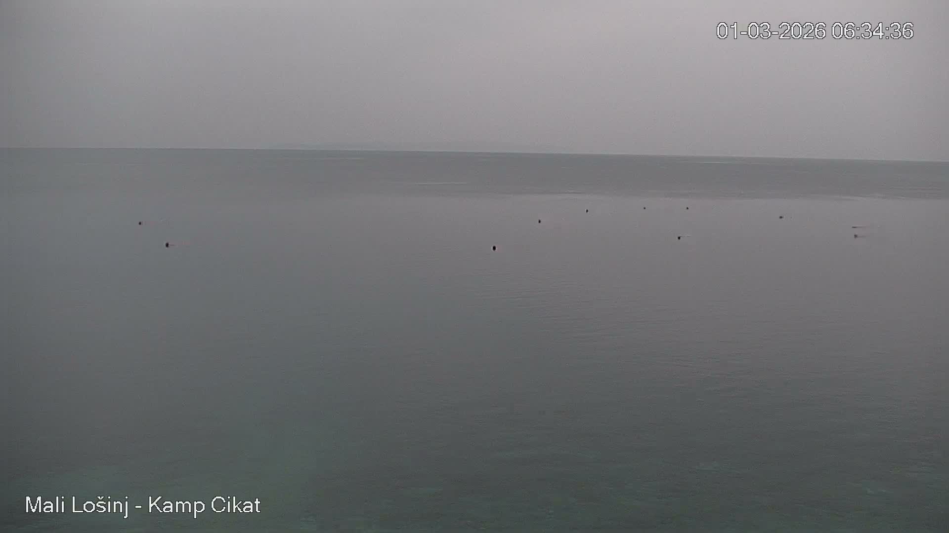 Otok Losinj Island, Camp Čikat Camping Live Cam - Cikat,  Mali Lošinj,  Primorje-Gorski Kotar, Croatia