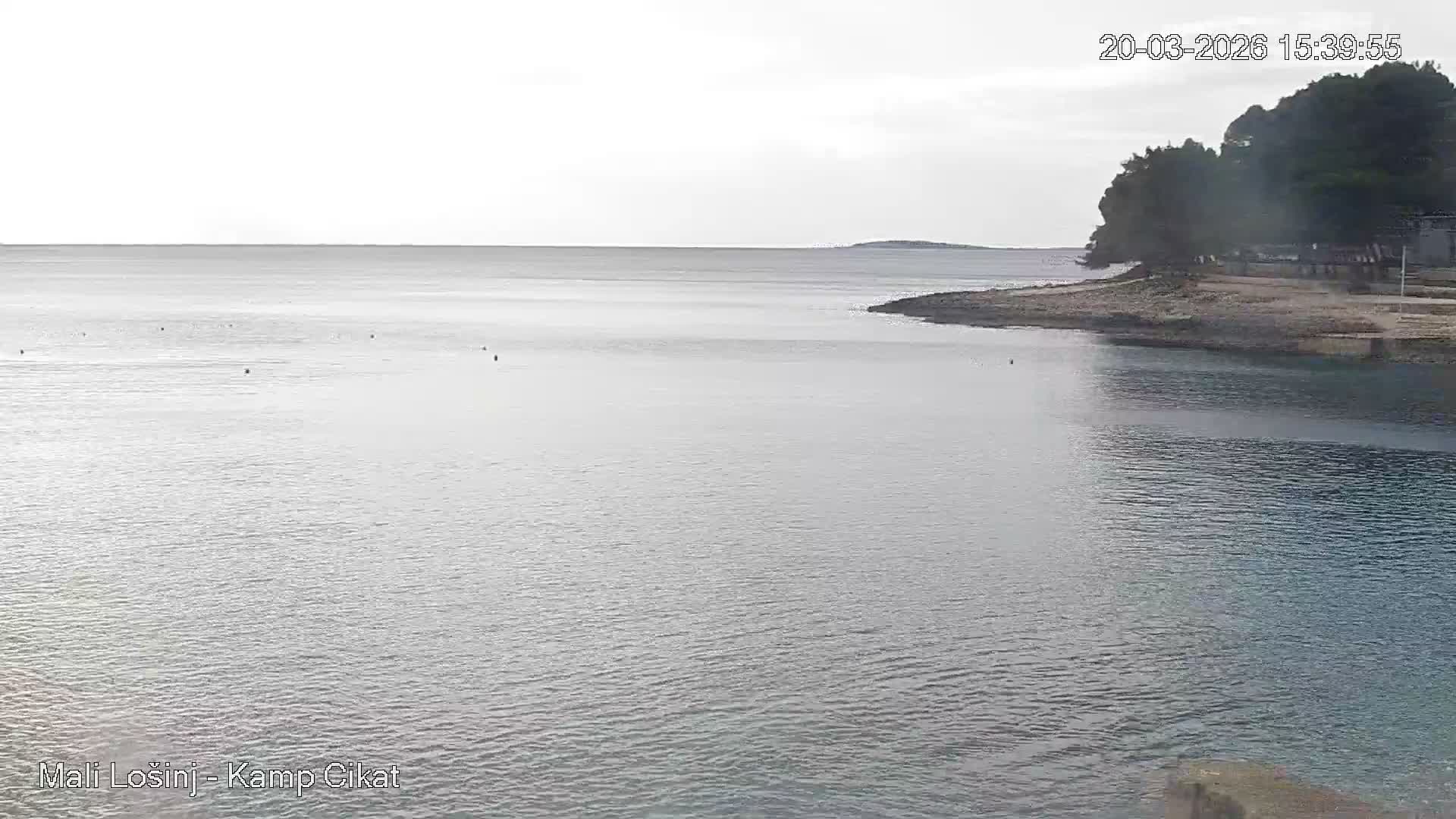Otok Losinj Island, Camp Čikat Camping Live Cam - Cikat,  Mali Lošinj,  Primorje-Gorski Kotar, Croatia