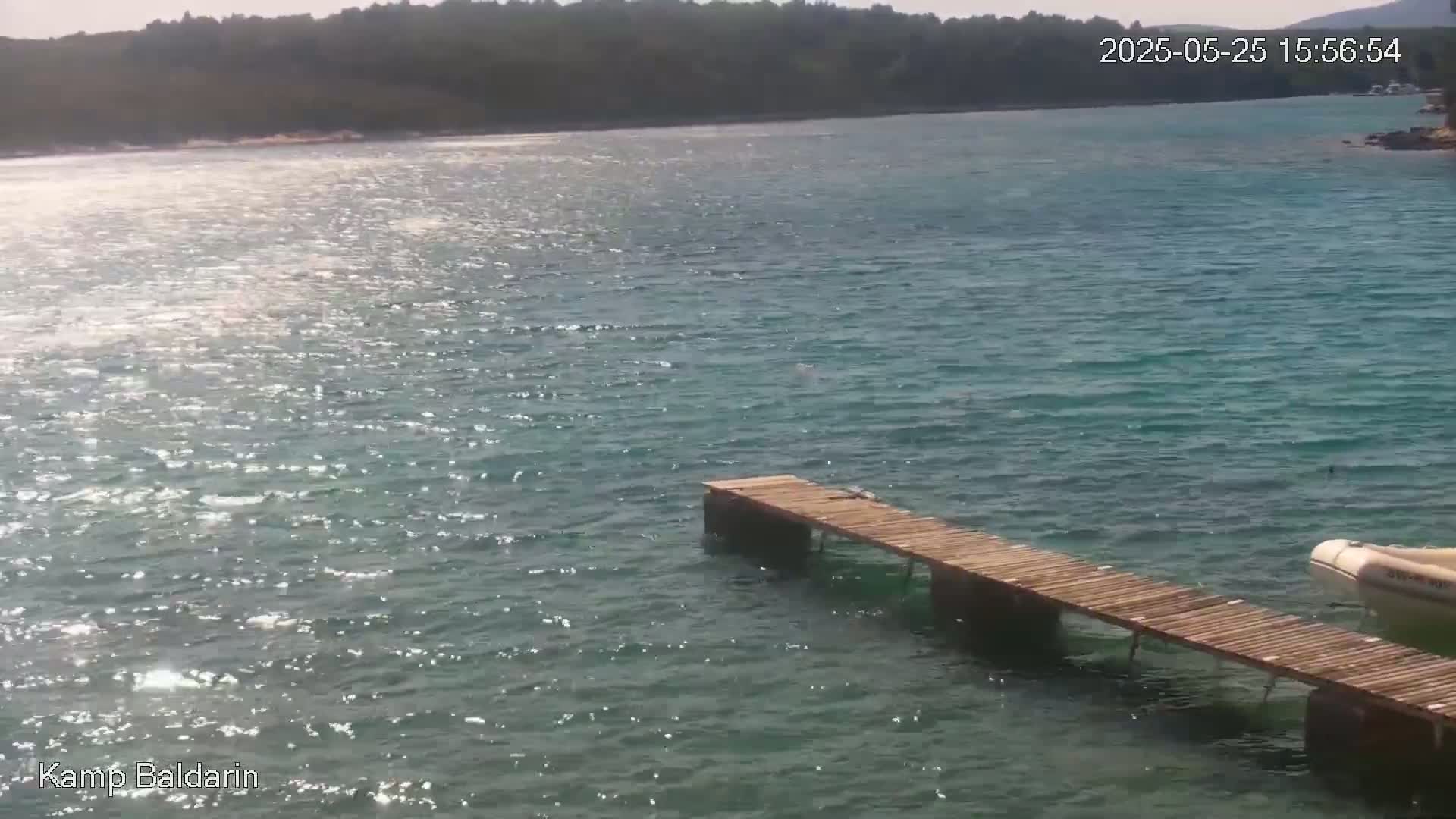 A wooden pier extends into a calm, sunlit body of water near a wooded shore.