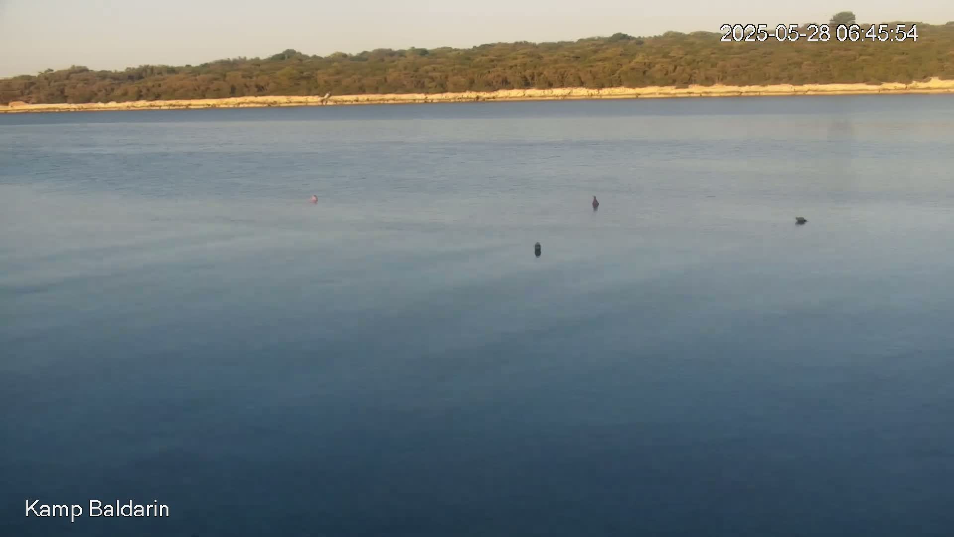 Otok Cres Island, Camp Baldarin Camping Live Cam - Punta Križa,  Mali Lošinj,  Primorje-Gorski Kotar, Croatia