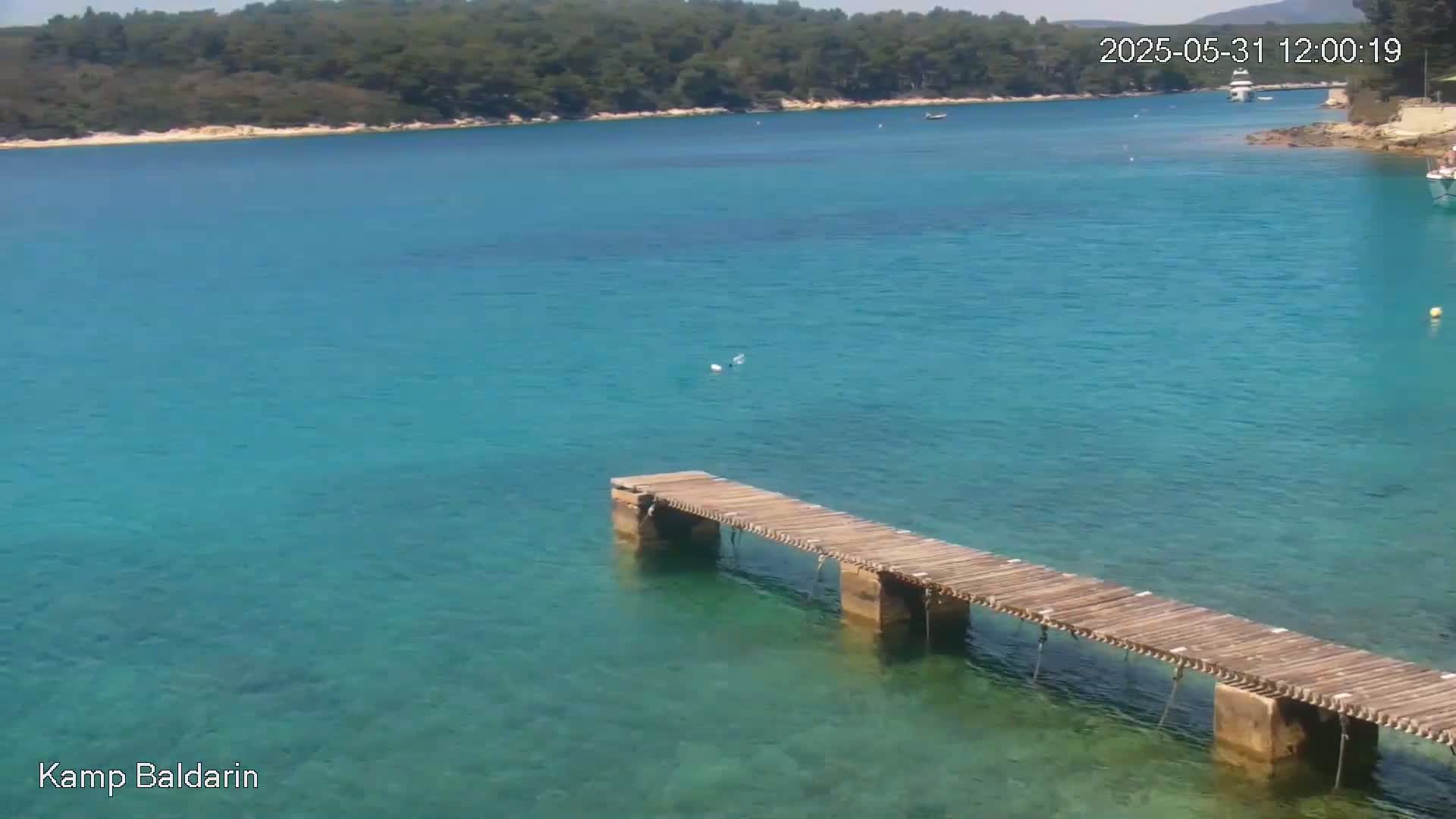 A wooden pier extends into clear, turquoise water, with a wooded shoreline visible in the background on a sunny day.