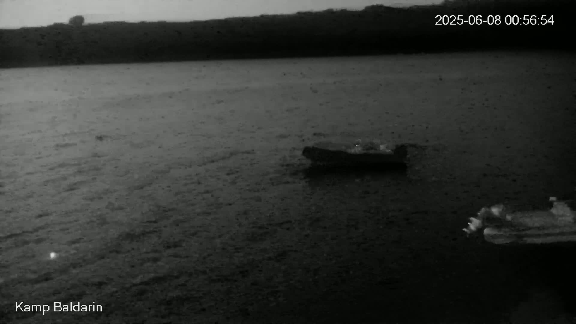A low-light grayscale image shows two dark, indistinct objects floating on a dark, still body of water under a dusky sky.