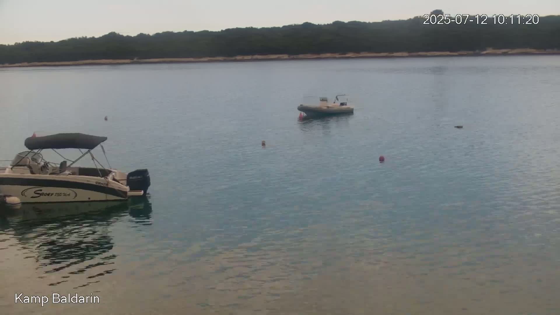 Two motorboats are moored in calm water near a shoreline with dark green vegetation under an overcast sky.