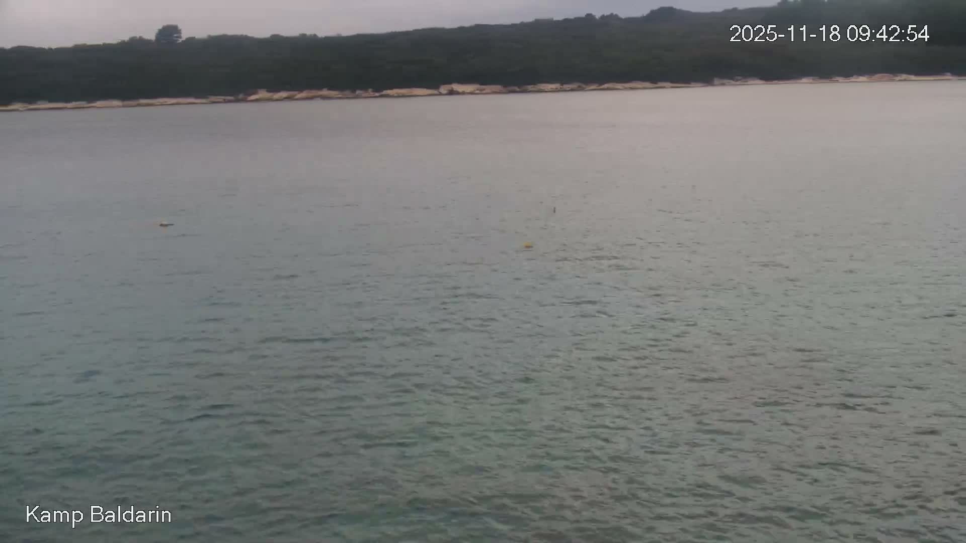 Several motorboats and sailboats are moored in a calm, clear turquoise bay under a sunny sky, with a background of green vegetation on a rocky shore.
