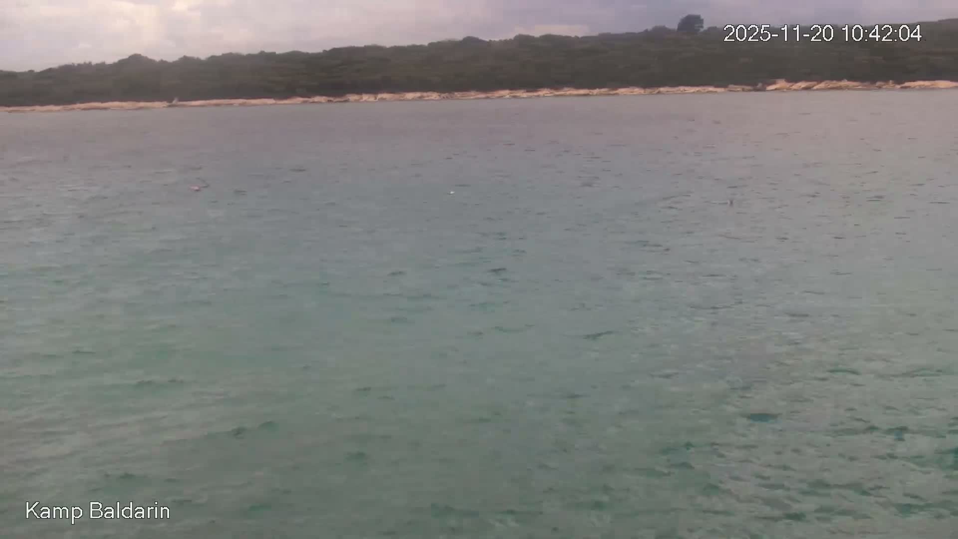 The image captures a wide view of calm, teal-colored water with a distant, dark green, forested coastline under a heavily overcast sky.