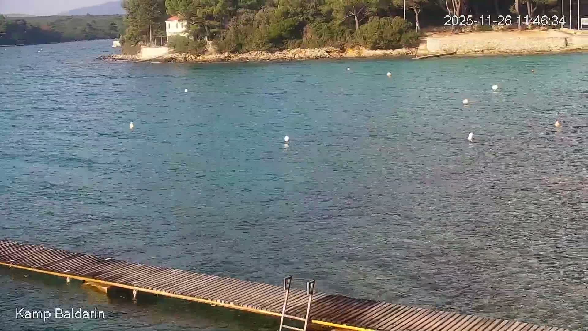 On a sunny day, a wooden pier with a ladder extends into calm, clear blue-green water dotted with buoys, leading to a lush, tree-covered coastline and distant hills.