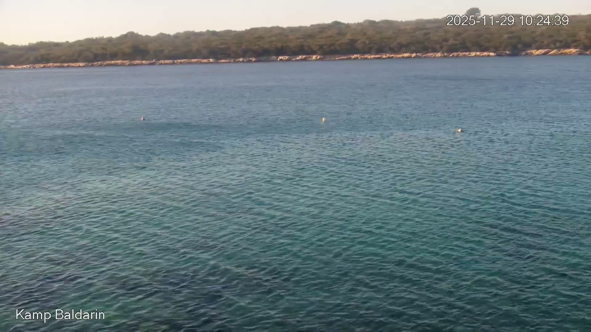 The image captures a serene view of calm, clear blue-green sea water with three buoys floating, backed by a lush, green tree-covered coastline under a bright, clear sky.