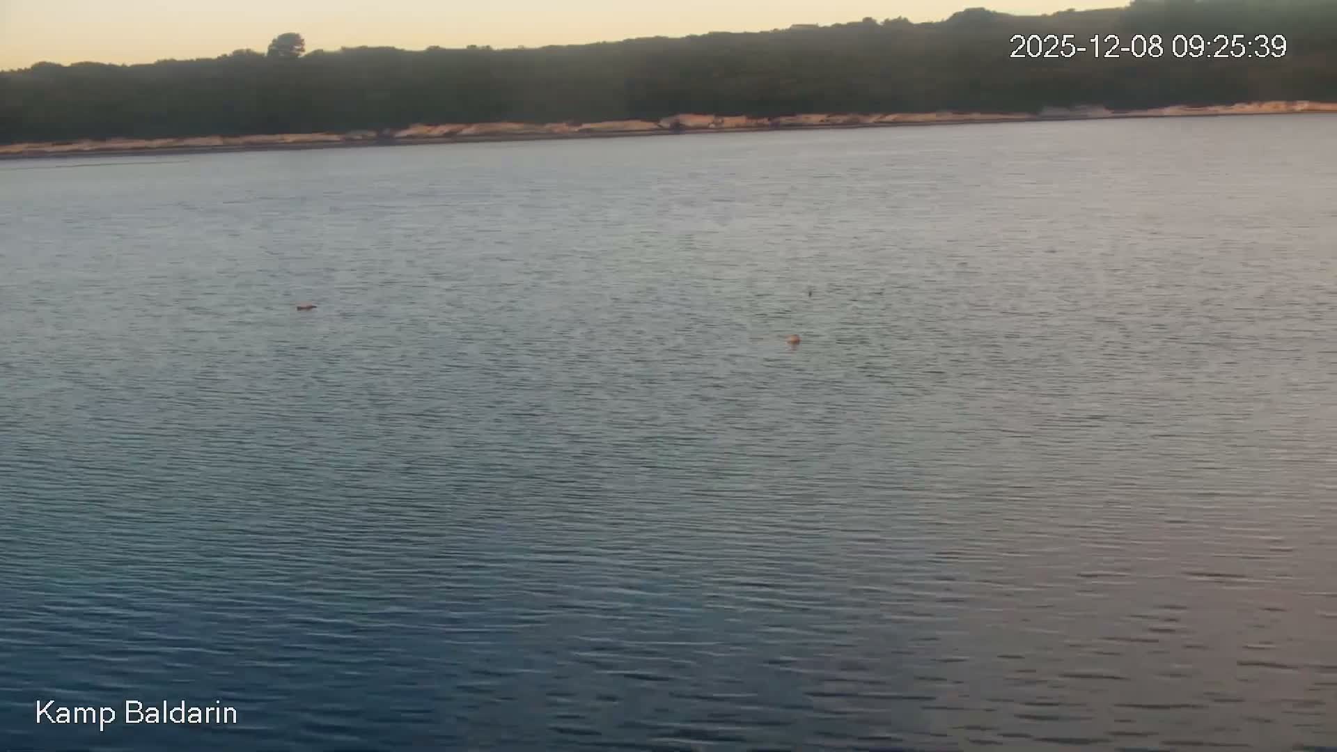 Otok Cres Island, Camp Baldarin Camping Live Cam - Punta Križa,  Mali Lošinj,  Primorje-Gorski Kotar, Croatia