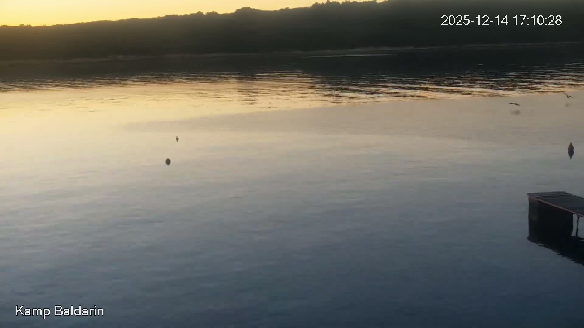 An overcast bay features several buoys on its turquoise and grey waters, with a wooden pier and rocky shore in the foreground and a distant shore showcasing a yellow building and an orange truck.