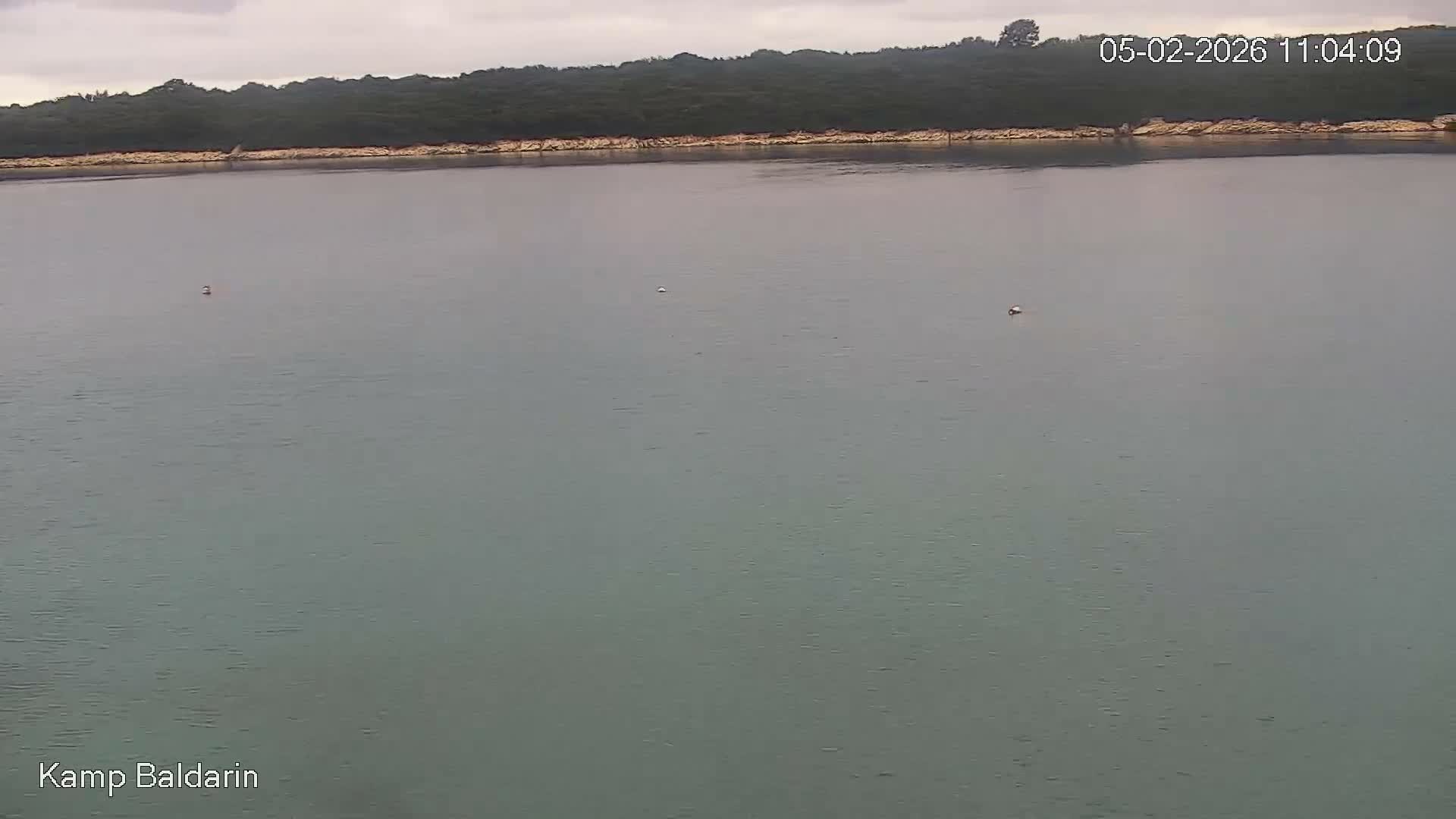 Otok Cres Island, Camp Baldarin Camping Live Cam - Punta Križa,  Mali Lošinj,  Primorje-Gorski Kotar, Croatia