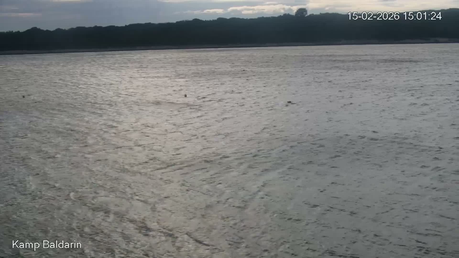 Otok Cres Island, Camp Baldarin Camping Live Cam - Punta Križa,  Mali Lošinj,  Primorje-Gorski Kotar, Croatia