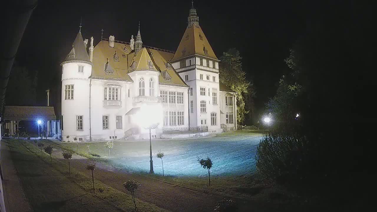 A large, white castle with a brown roof is illuminated at night, surrounded by a lawn and trees.