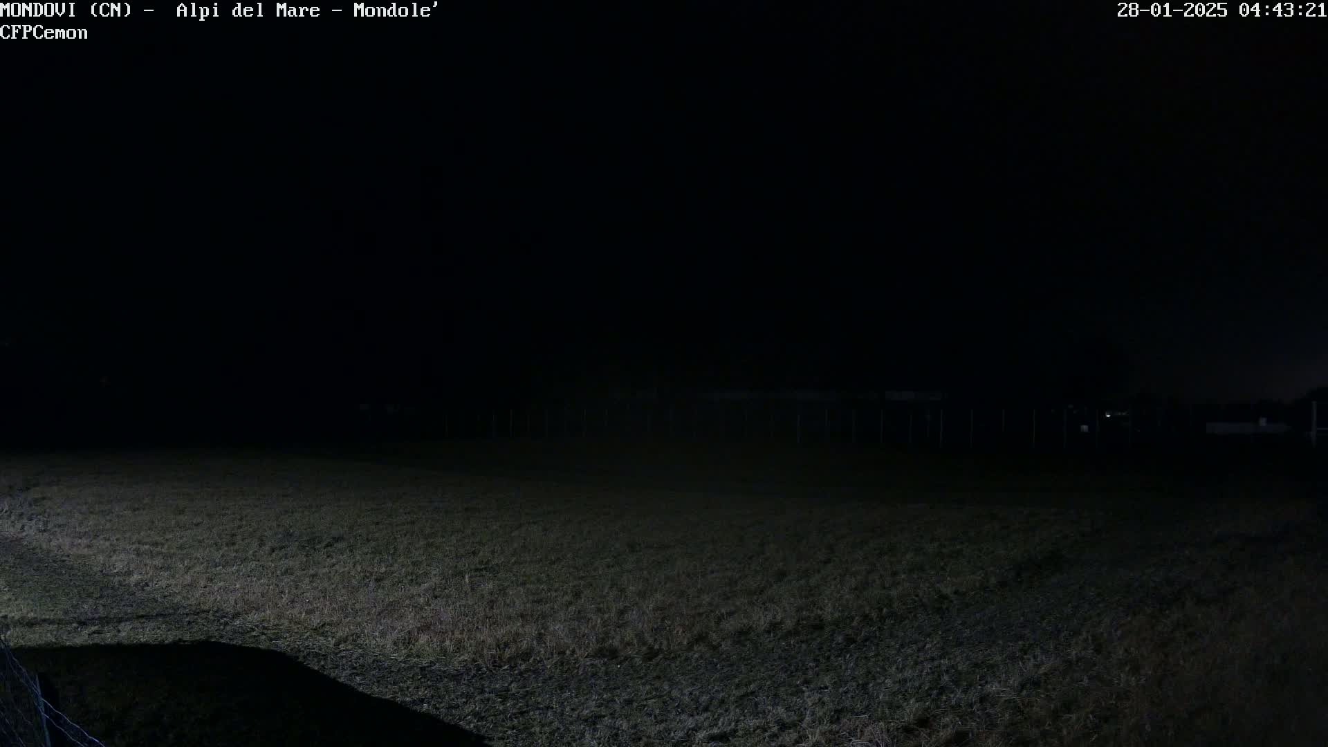 A dark, nighttime view of a grassy field, partially illuminated, with a fence visible in the bottom left corner.