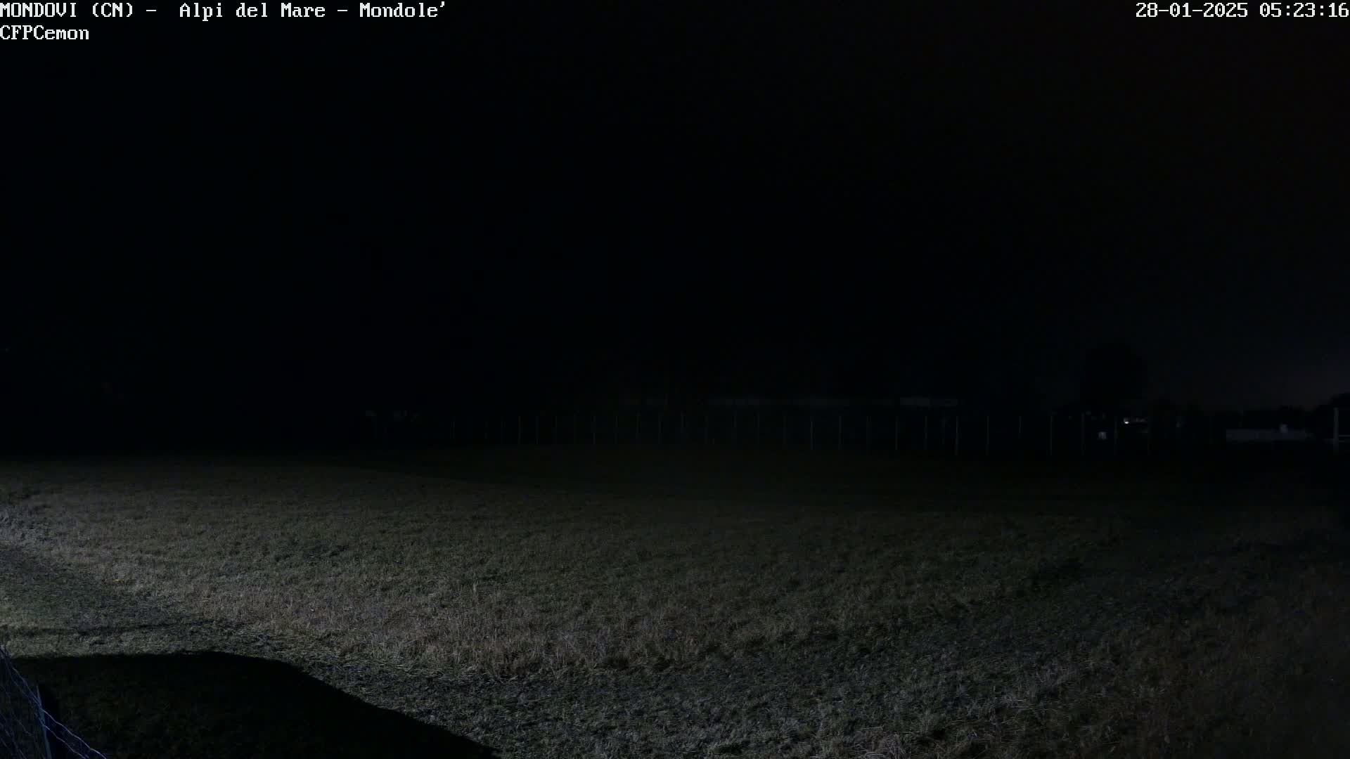 A dark, nighttime view of a grassy field with a fence in the distance under a clear sky.