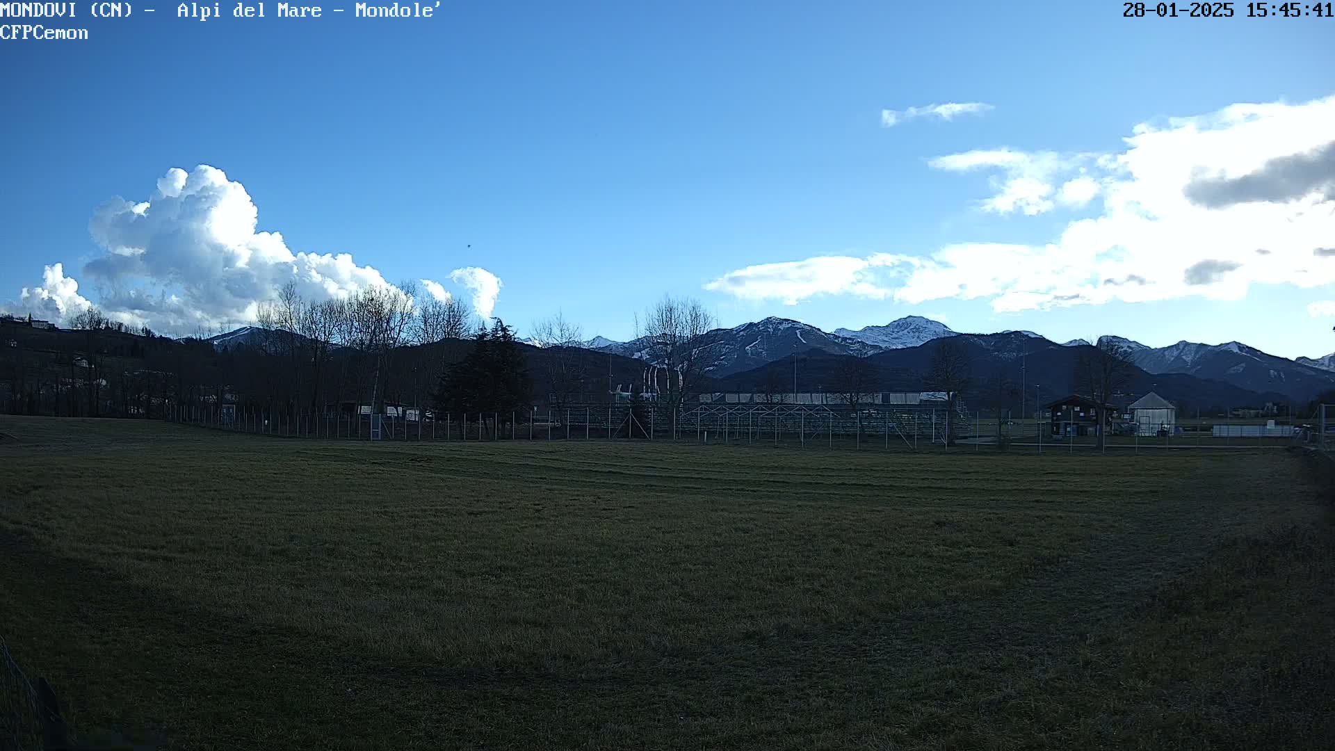 A grassy field sits before snow-capped mountains under a mostly clear blue sky with some puffy white clouds.