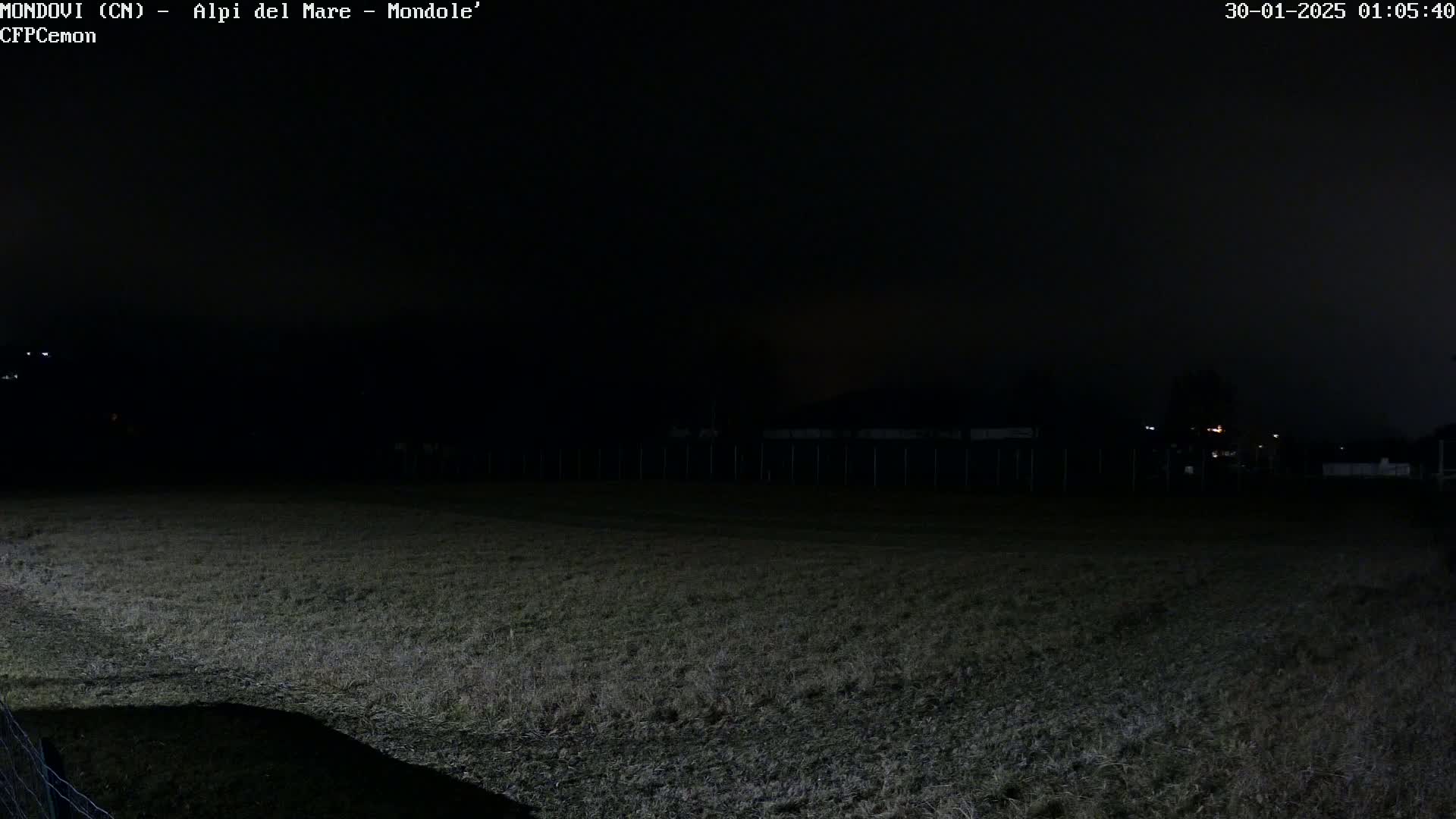 A dark, grassy field is visible under a nighttime sky, with a fence and faintly lit structures in the background.