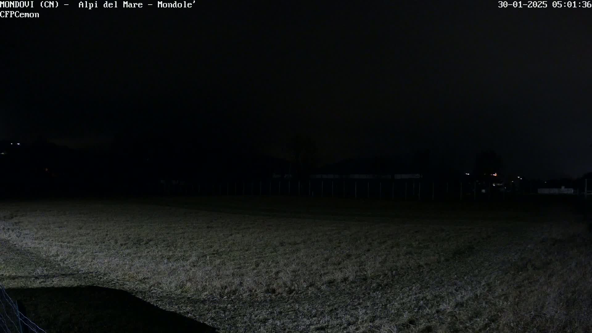 A dark, grassy field is visible at night under a black sky.