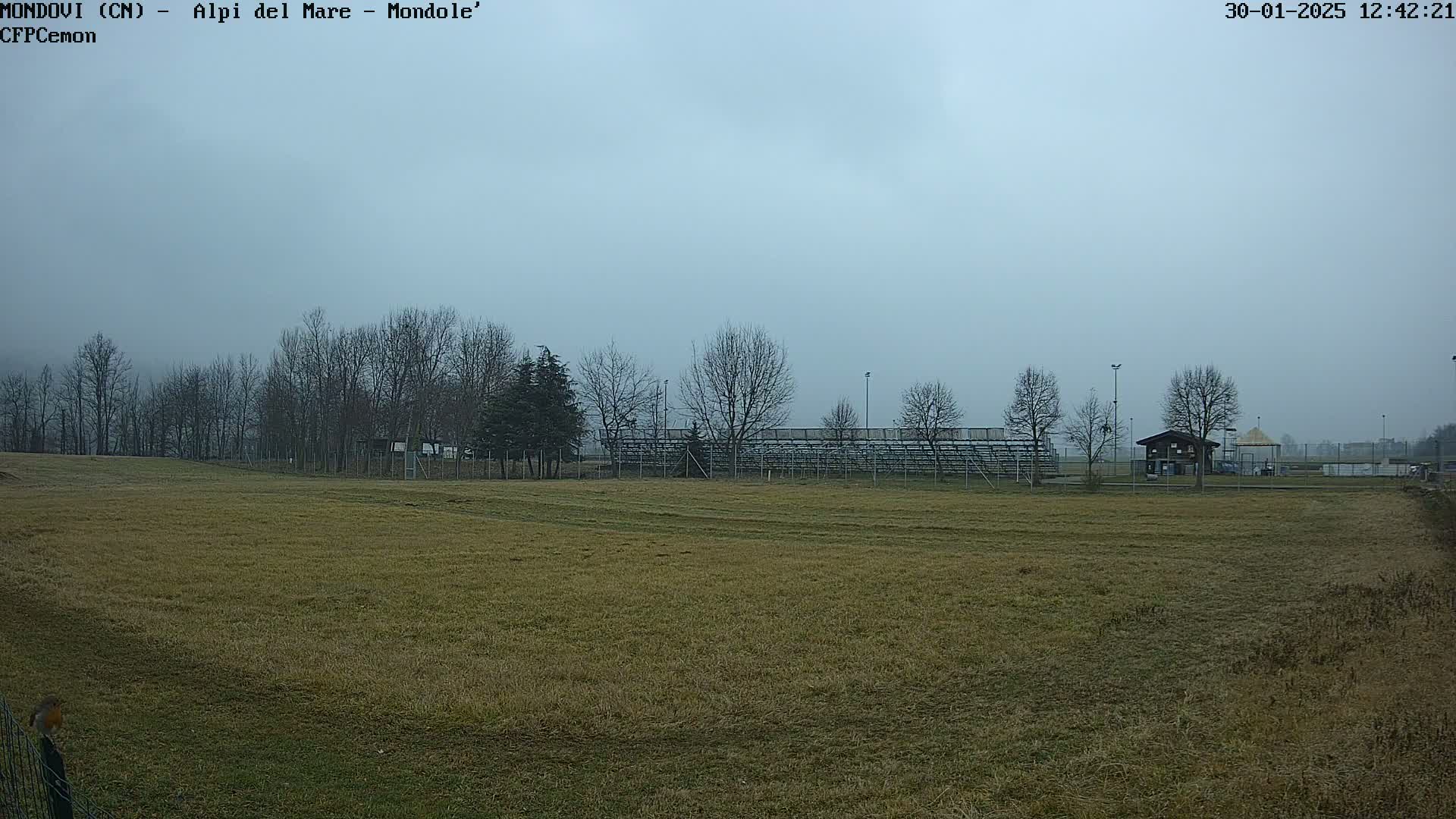 A mostly overcast day reveals a field of brown grass, a line of bare trees, and empty bleachers in the distance.