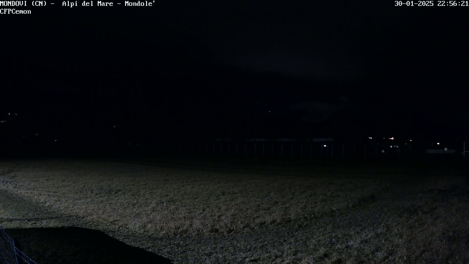 A dark, nighttime field is visible, with a fence and distant lights in the background under a mostly clear sky.