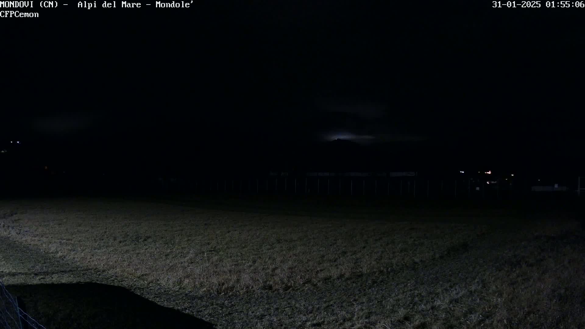 A dark, nighttime field is shown under a mostly cloudy sky with a faint light possibly from the moon or lightning in the distance.