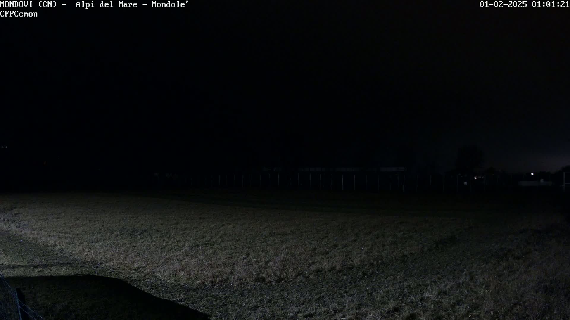 A dark, nighttime scene shows a grassy field extending to a distant fence under a clear, black sky.