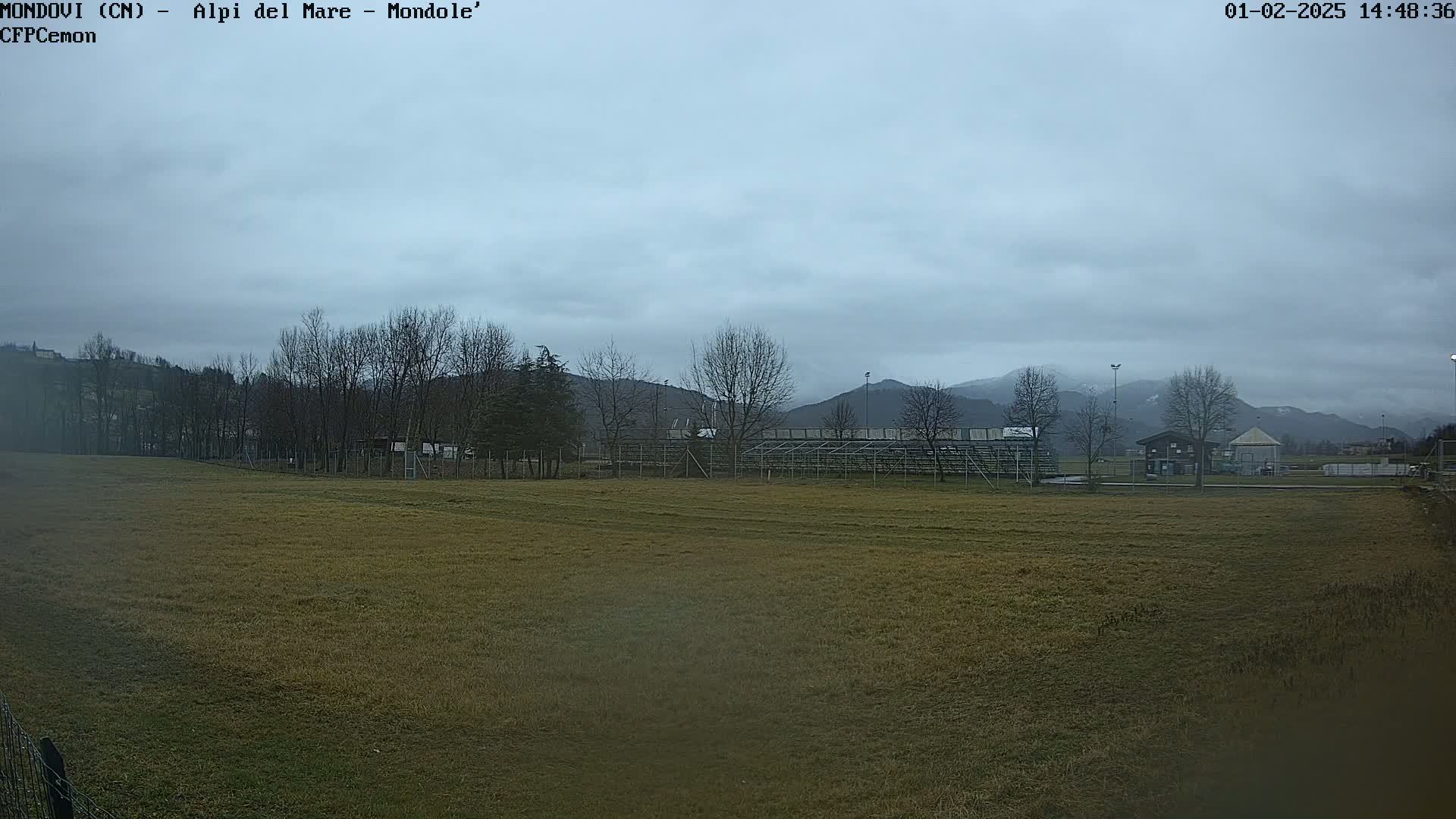 A grassy field stretches out before a line of bare trees and a partially visible sports field, all under a cloudy, overcast sky with mountains in the background.