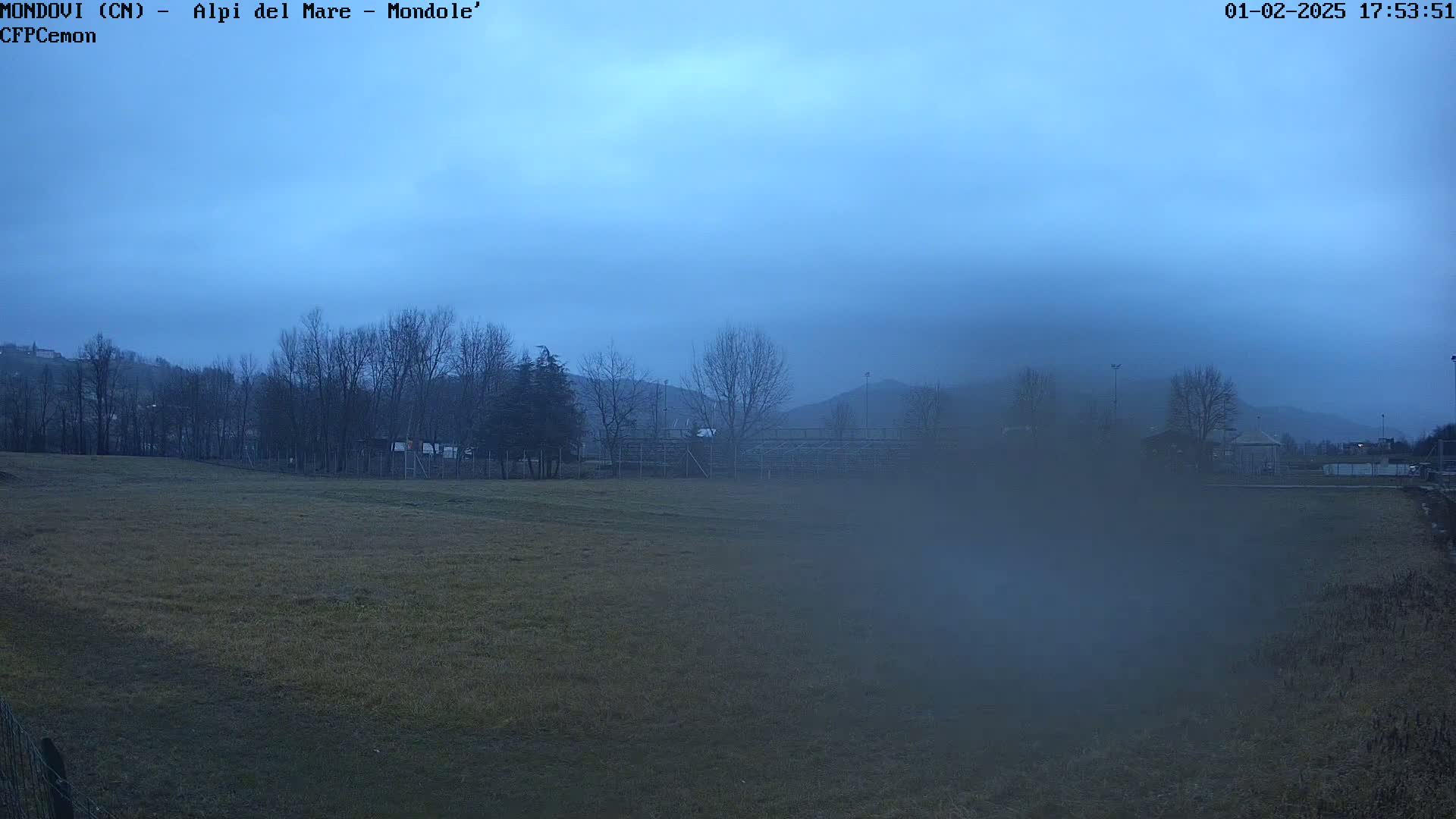 A foggy, twilight scene shows a field with bare trees, a distant structure, and low-lying hills under a pale blue sky.