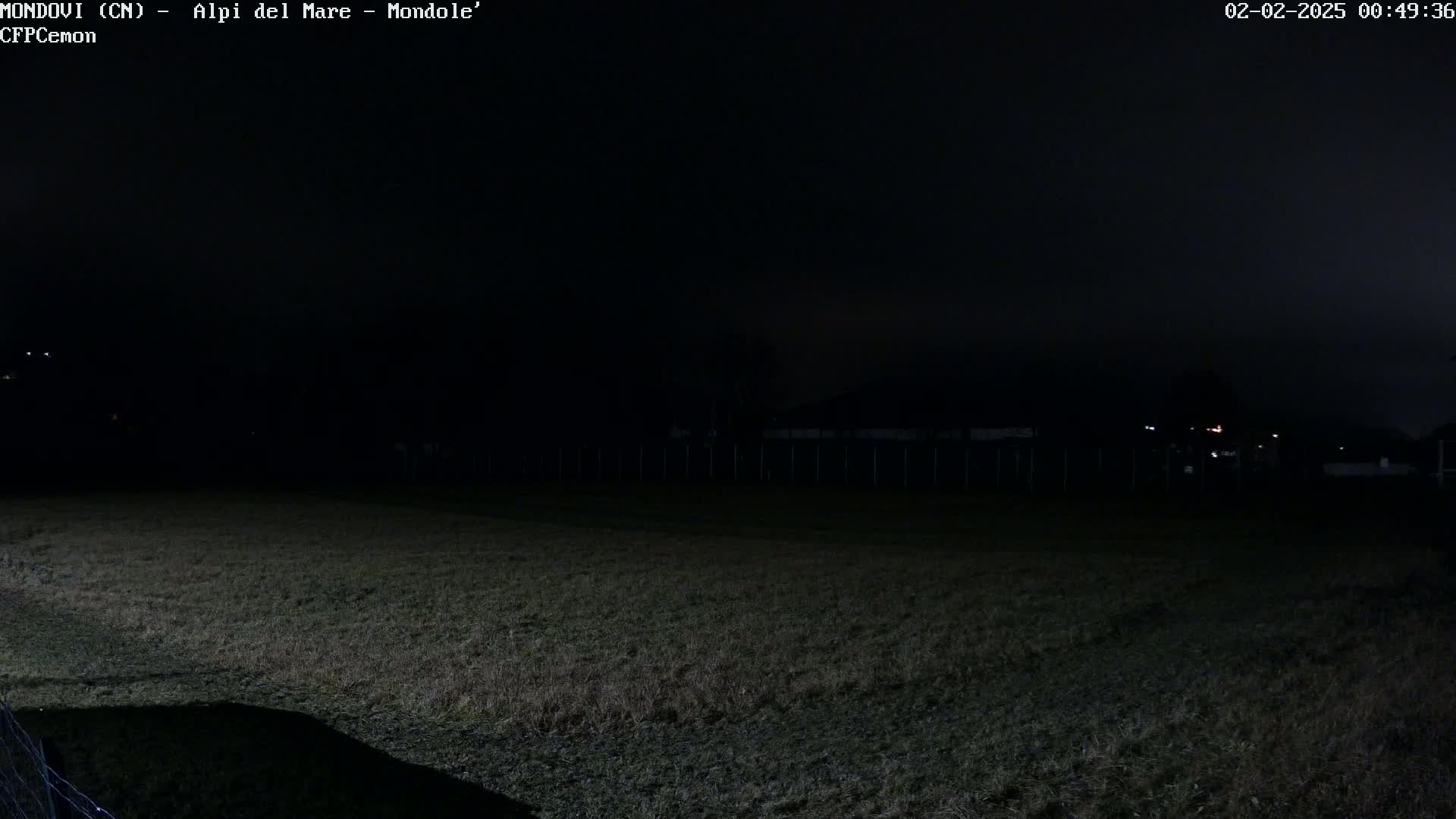 A dark, nighttime scene shows a grassy field extending to a distant fence under a mostly clear, dark sky.